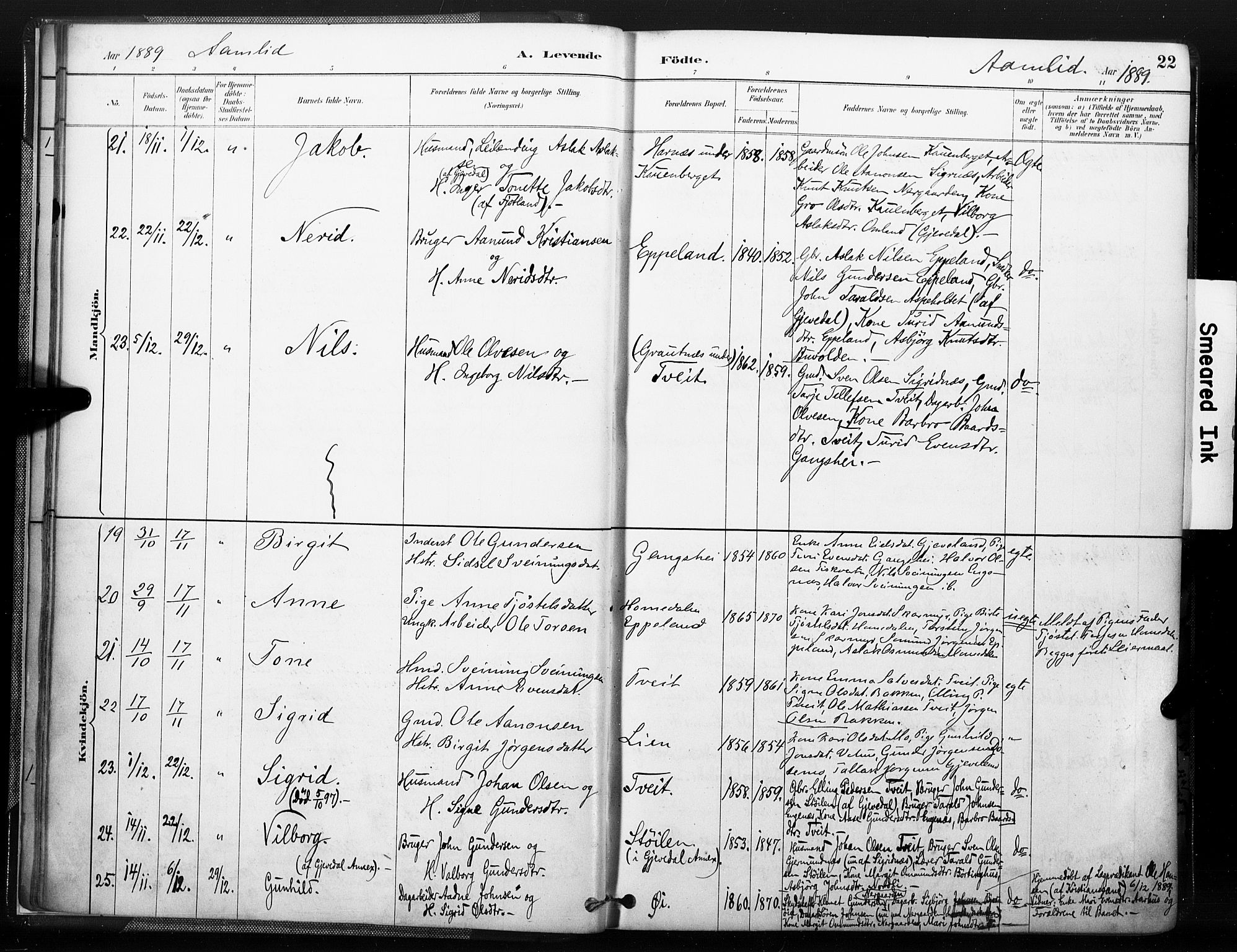 Åmli sokneprestkontor, AV/SAK-1111-0050/F/Fa/Fac/L0010: Parish register (official) no. A 10 /1, 1885-1899, p. 22