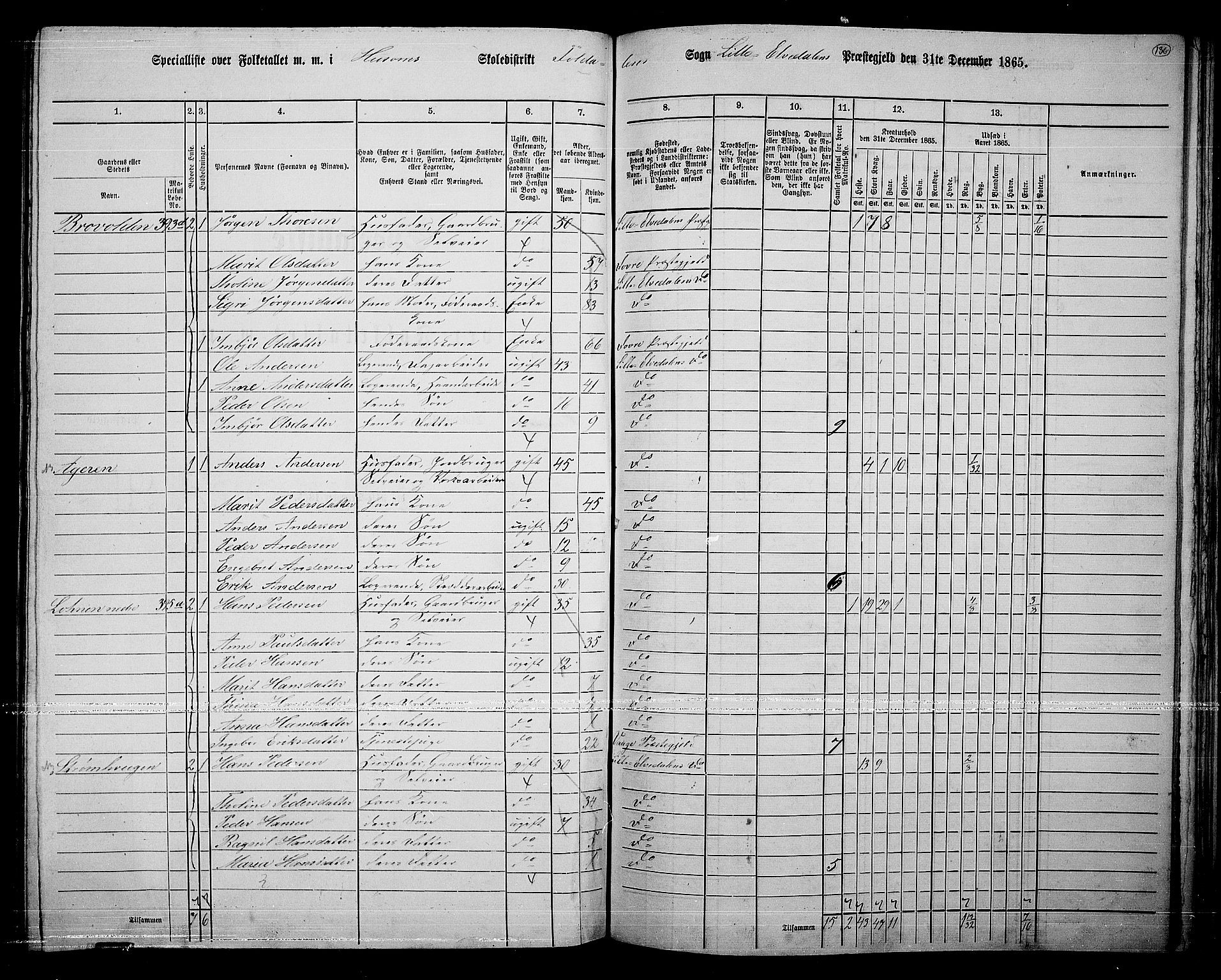 RA, 1865 census for Lille Elvedalen, 1865, p. 116