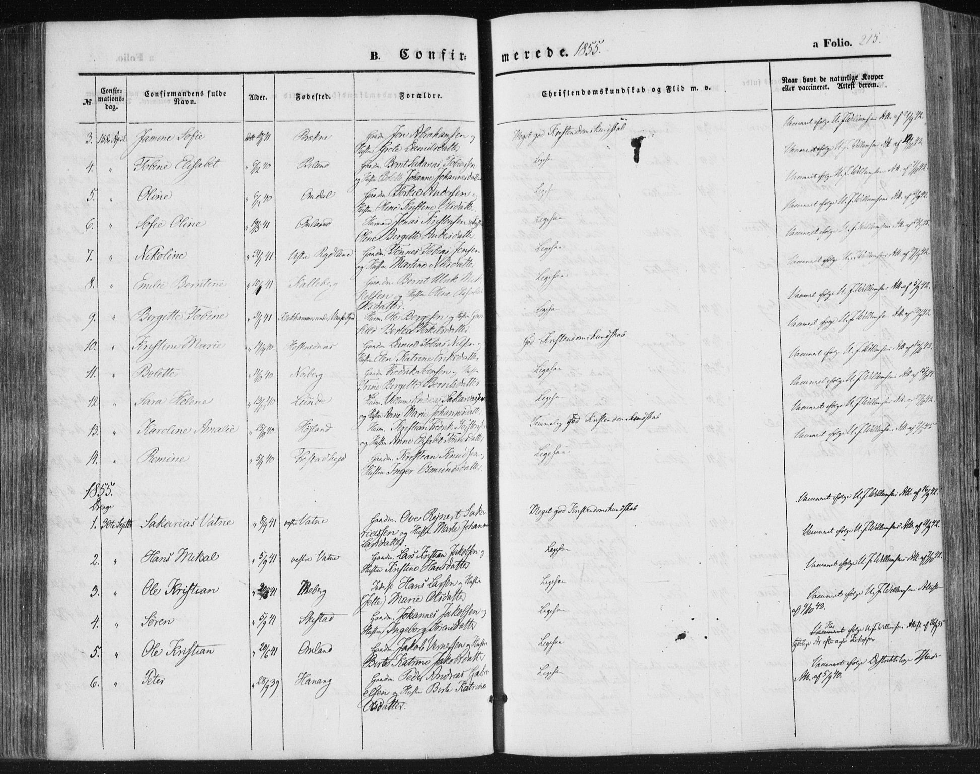 Lista sokneprestkontor, SAK/1111-0027/F/Fa/L0010: Parish register (official) no. A 10, 1846-1861, p. 215