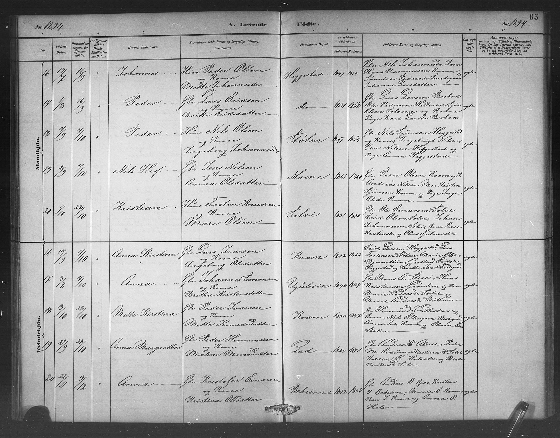 Hafslo sokneprestembete, AV/SAB-A-80301/H/Hab/Habb/L0001: Parish register (copy) no. B 1, 1882-1908, p. 65