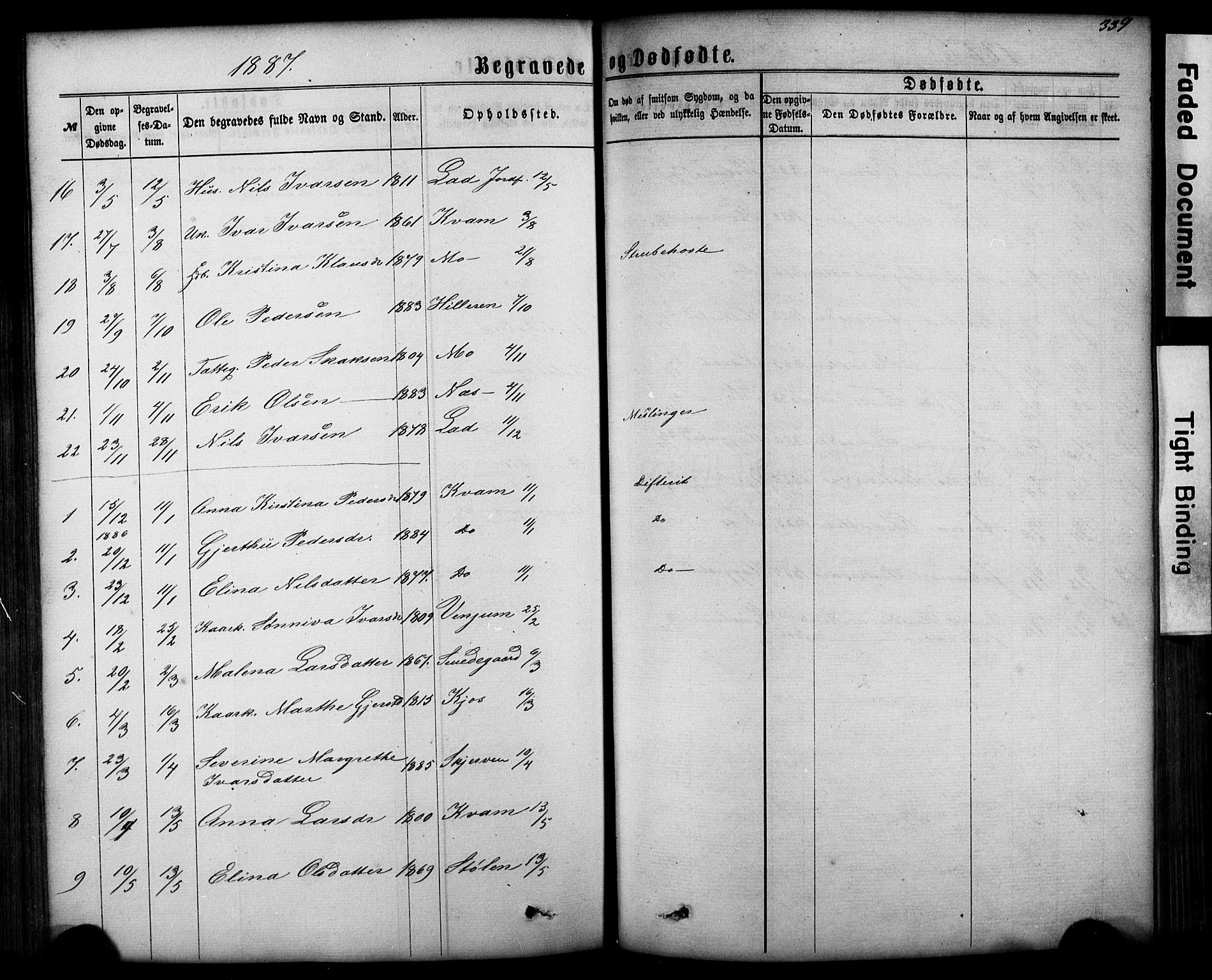 Hafslo sokneprestembete, AV/SAB-A-80301/H/Hab/Haba/L0001: Parish register (copy) no. A 1, 1866-1908, p. 339