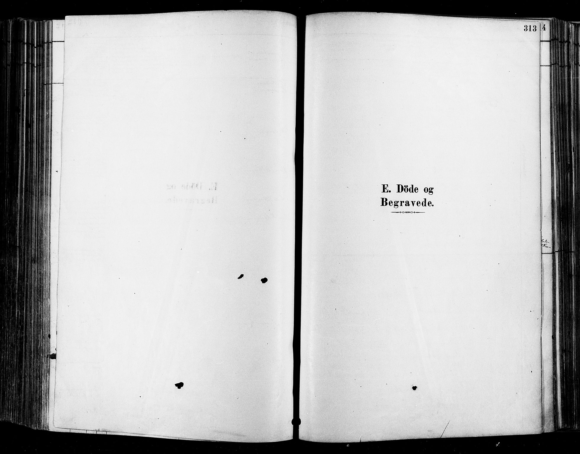 Moss prestekontor Kirkebøker, SAO/A-2003/F/Fb/L0001: Parish register (official) no. II 1, 1878-1886, p. 313