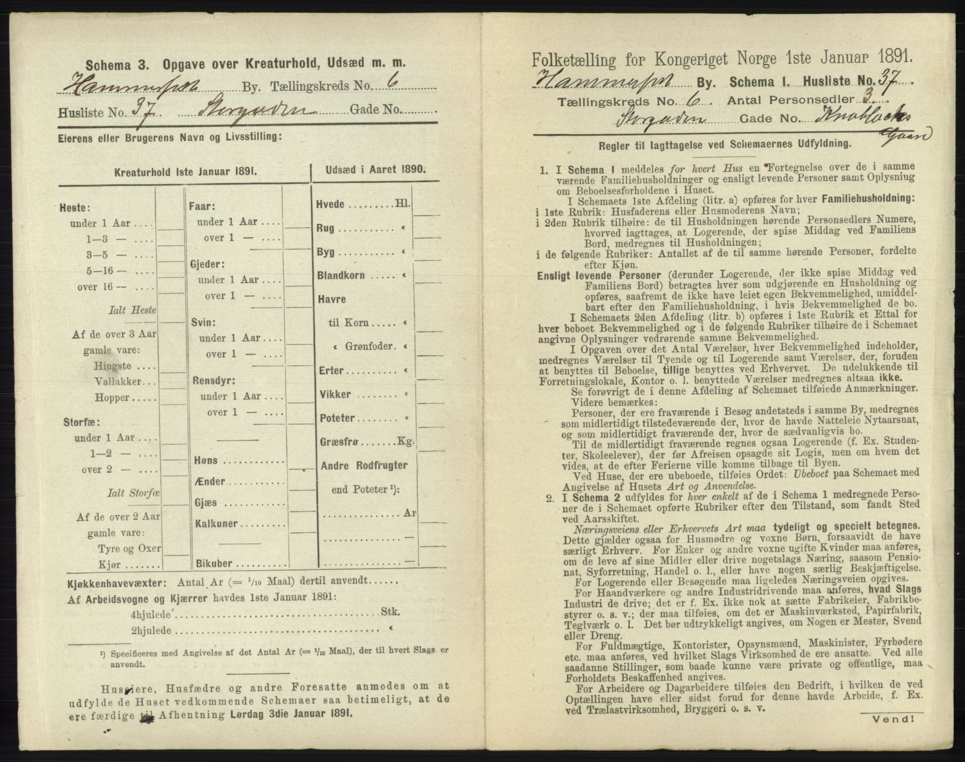 RA, 1891 census for 2001 Hammerfest, 1891, p. 1704