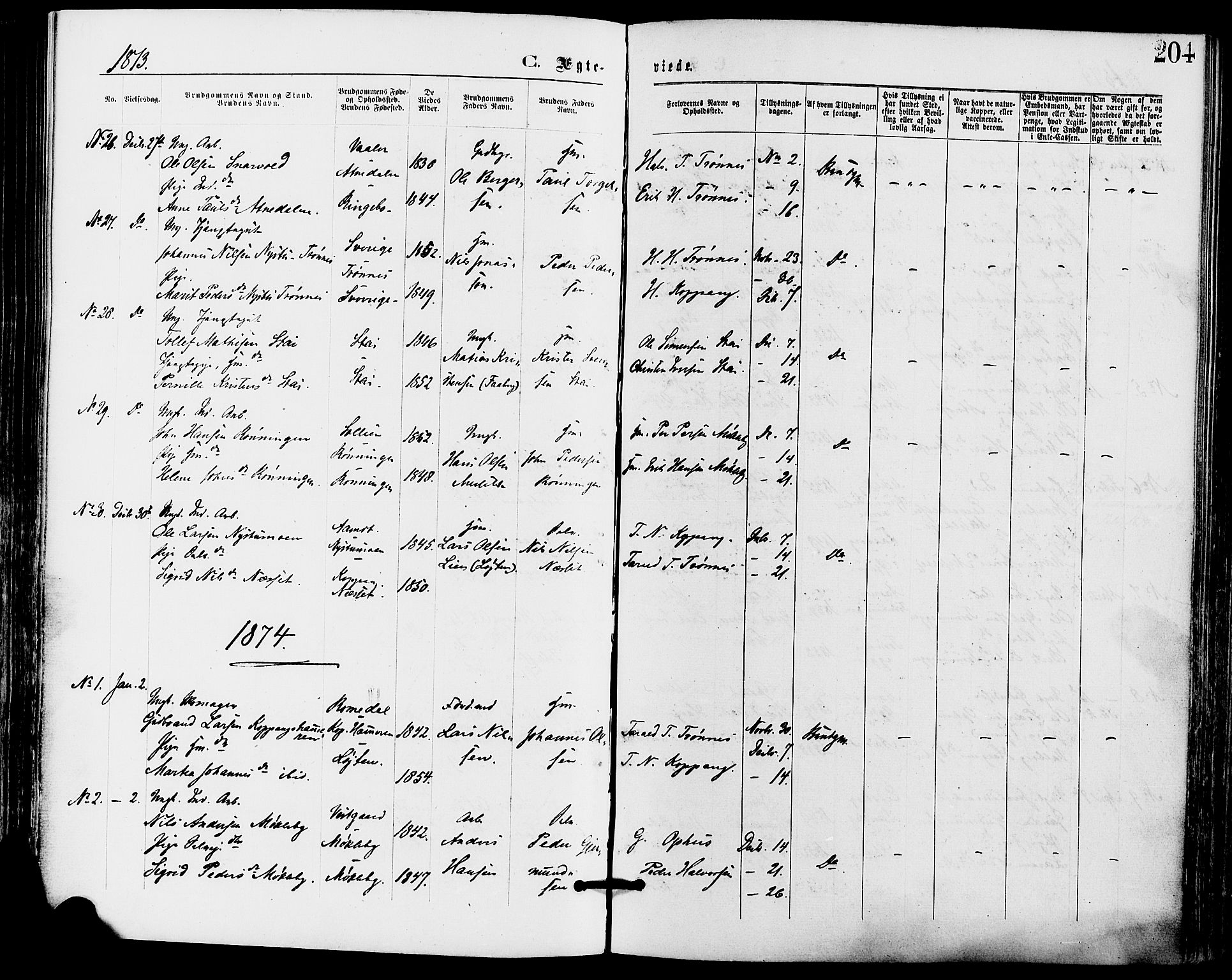 Stor-Elvdal prestekontor, AV/SAH-PREST-052/H/Ha/Haa/L0001: Parish register (official) no. 1, 1871-1882, p. 204