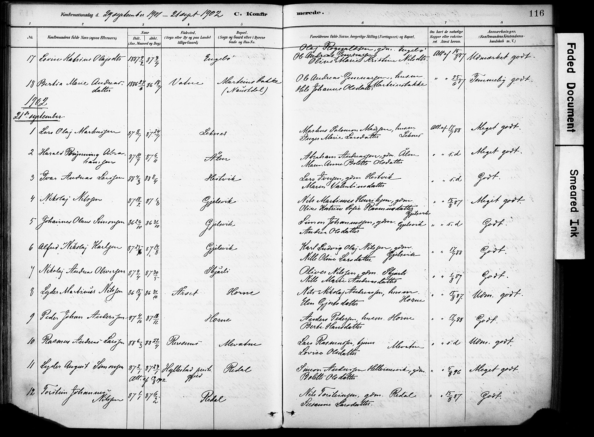 Førde sokneprestembete, AV/SAB-A-79901/H/Haa/Haae/L0001: Parish register (official) no. E 1, 1881-1911, p. 116