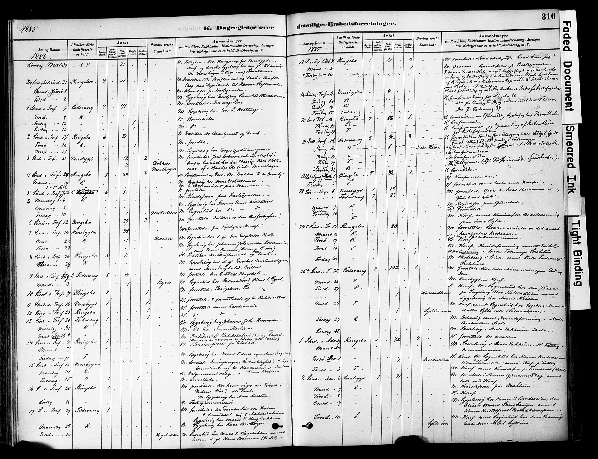 Ringebu prestekontor, AV/SAH-PREST-082/H/Ha/Haa/L0008: Parish register (official) no. 8, 1878-1898, p. 316