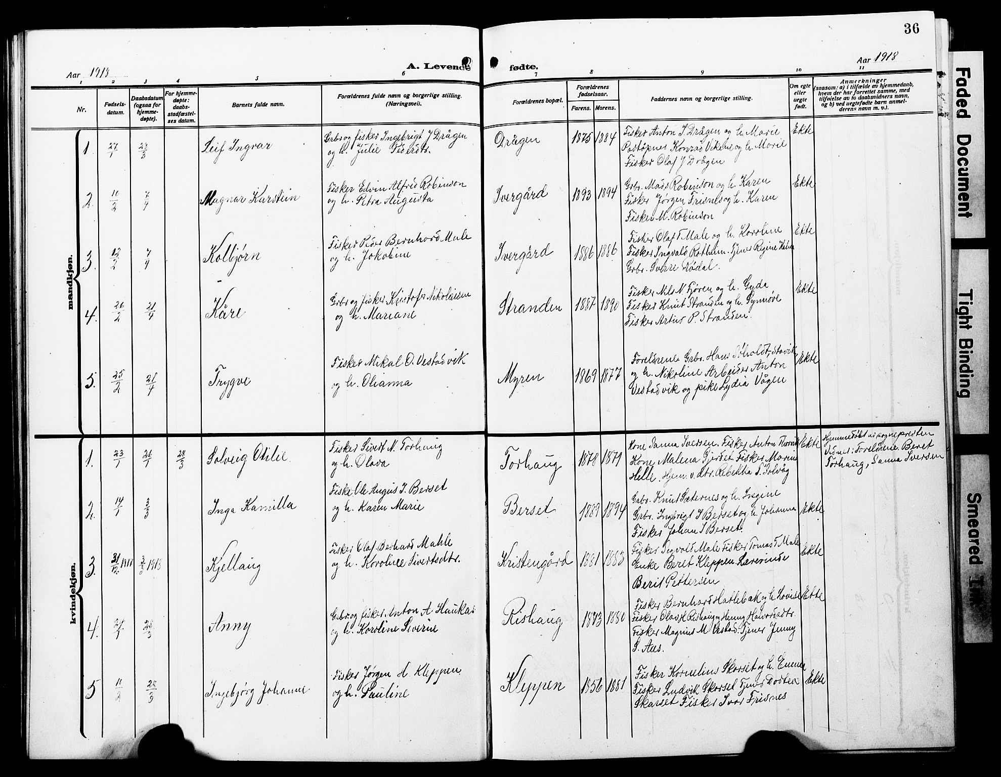 Ministerialprotokoller, klokkerbøker og fødselsregistre - Møre og Romsdal, SAT/A-1454/566/L0774: Parish register (copy) no. 566C03, 1910-1929, p. 36