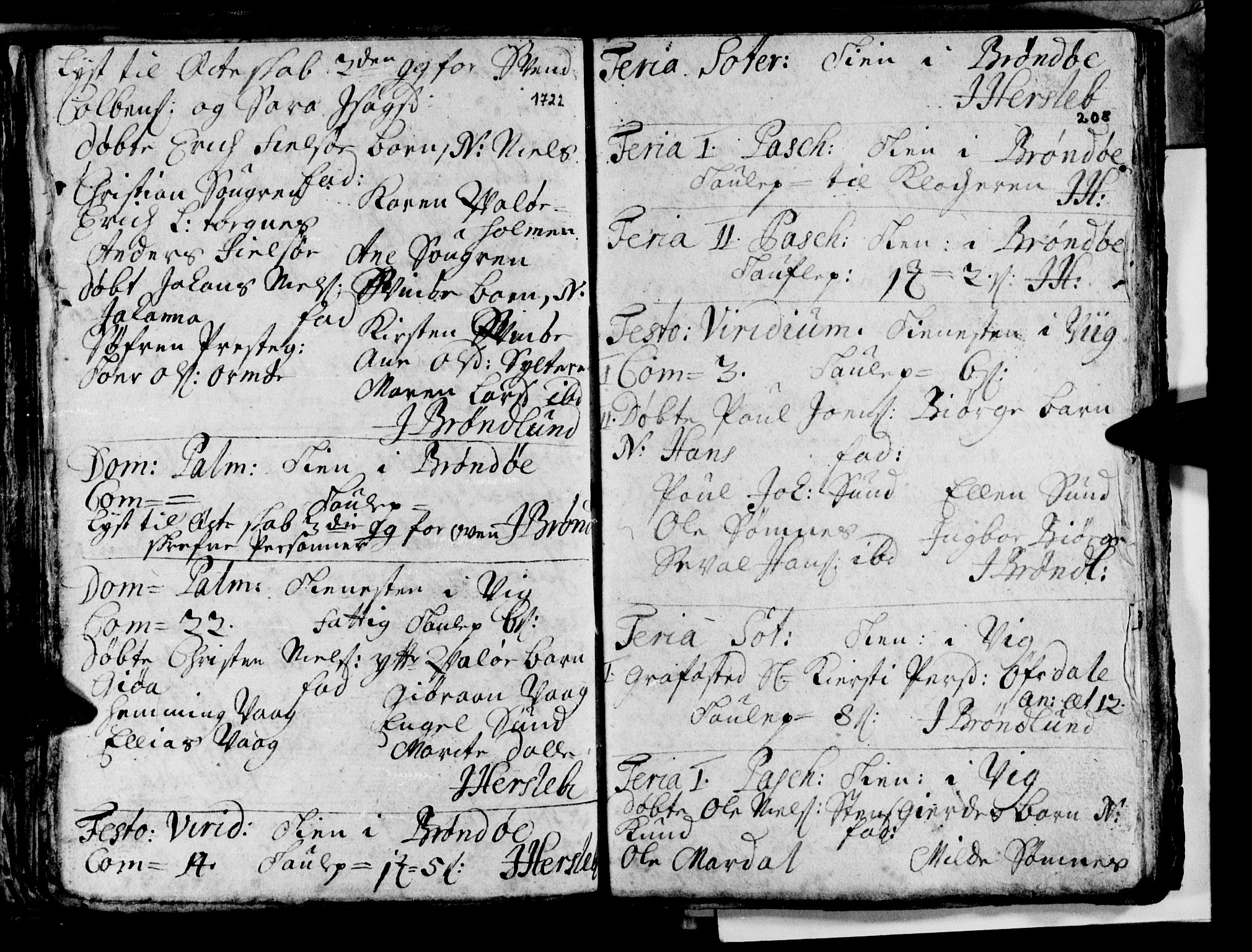 Ministerialprotokoller, klokkerbøker og fødselsregistre - Nordland, AV/SAT-A-1459/813/L0193: Parish register (official) no. 813A03, 1714-1724, p. 208