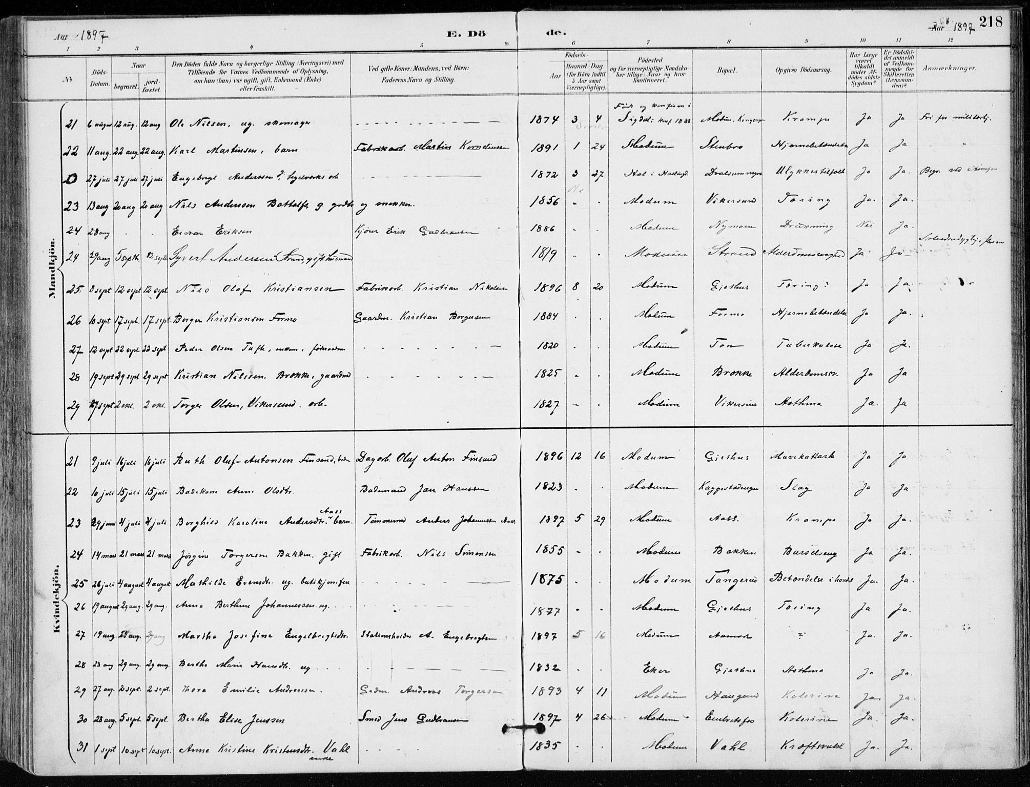 Modum kirkebøker, AV/SAKO-A-234/F/Fa/L0012: Parish register (official) no. 12, 1890-1898, p. 218