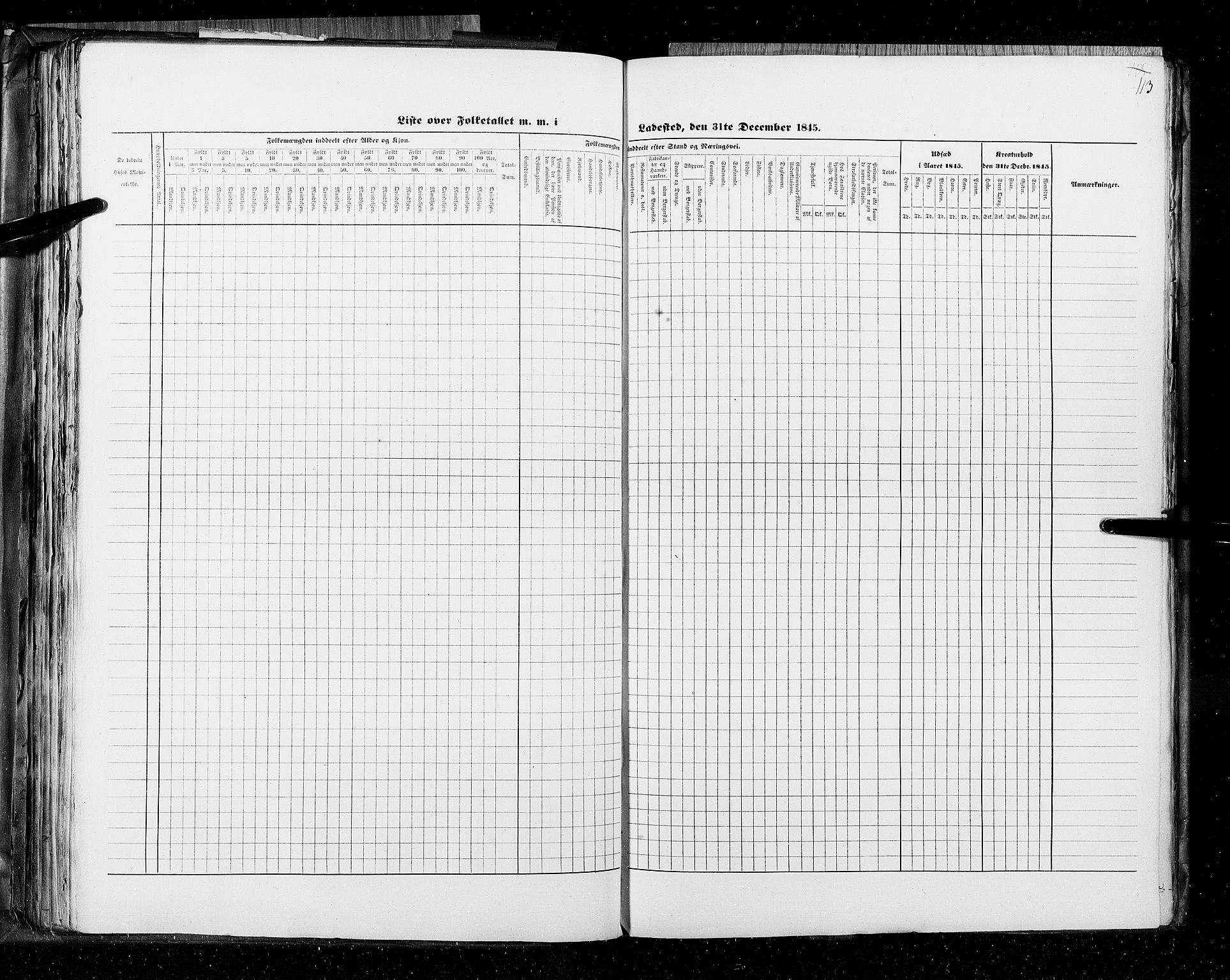 RA, Census 1845, vol. 11: Cities, 1845, p. 113