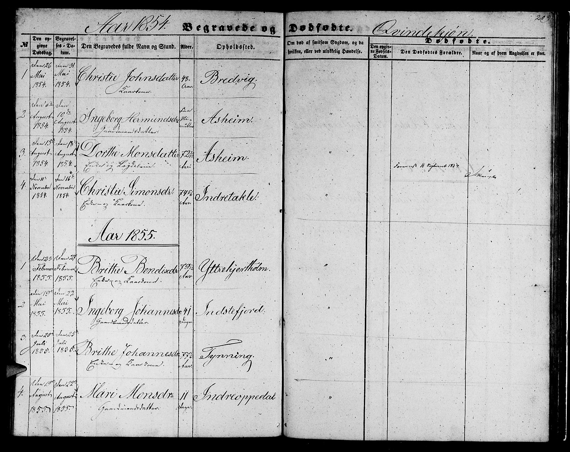 Gulen sokneprestembete, AV/SAB-A-80201/H/Hab/Habc/L0001: Parish register (copy) no. C 1, 1853-1880, p. 209