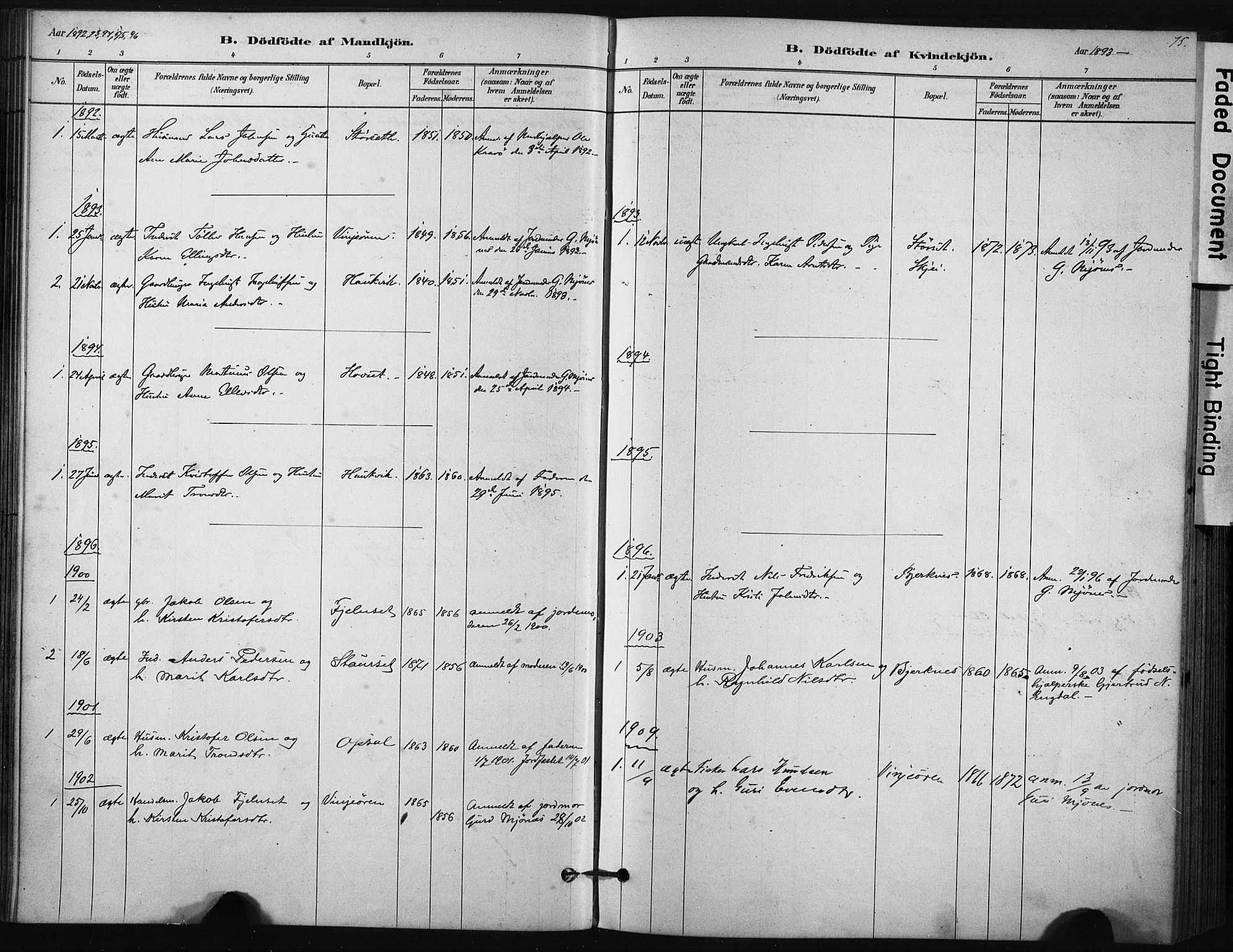 Ministerialprotokoller, klokkerbøker og fødselsregistre - Sør-Trøndelag, SAT/A-1456/631/L0512: Parish register (official) no. 631A01, 1879-1912, p. 75