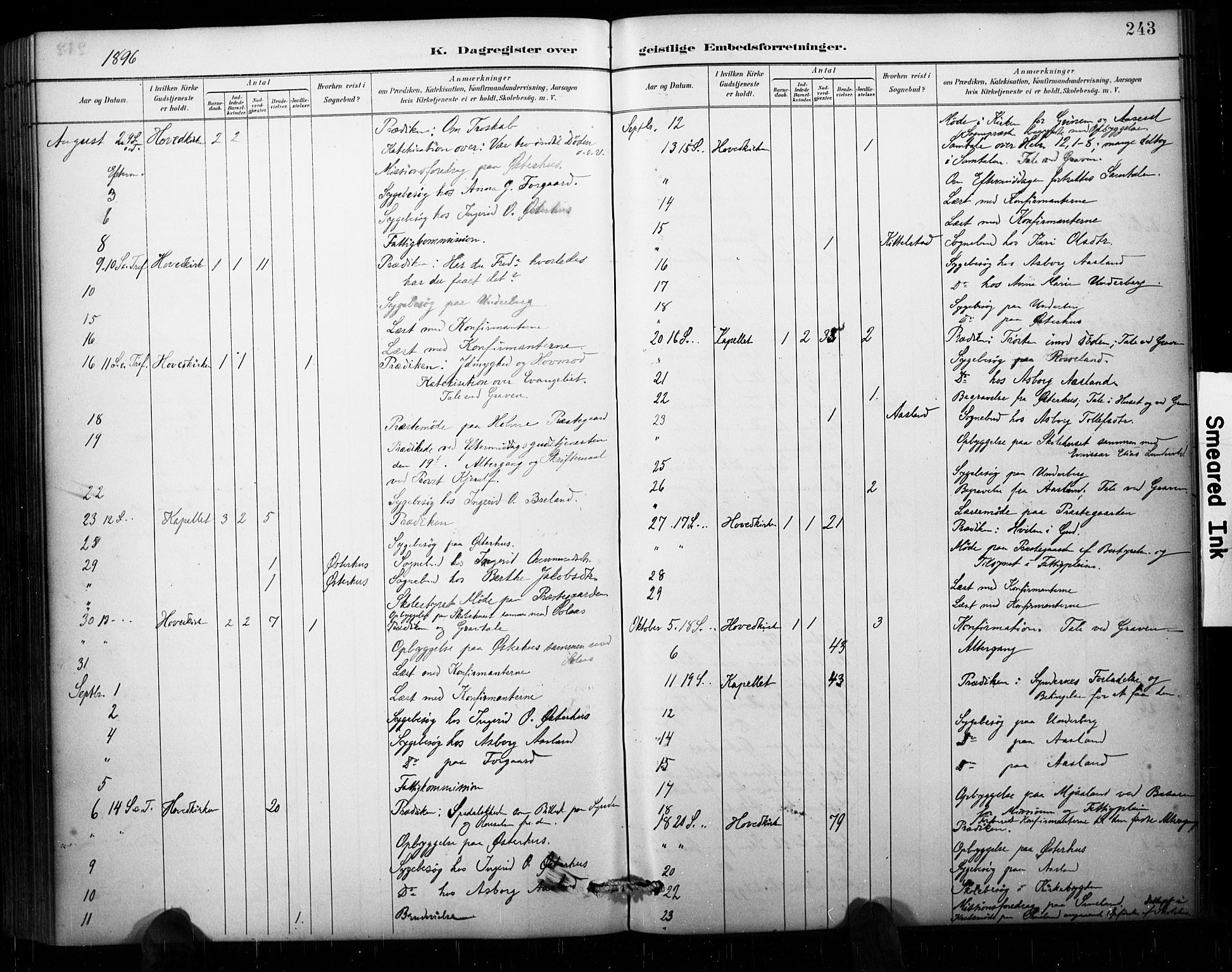 Åseral sokneprestkontor, AV/SAK-1111-0051/F/Fa/L0003: Parish register (official) no. A 3, 1884-1901, p. 243