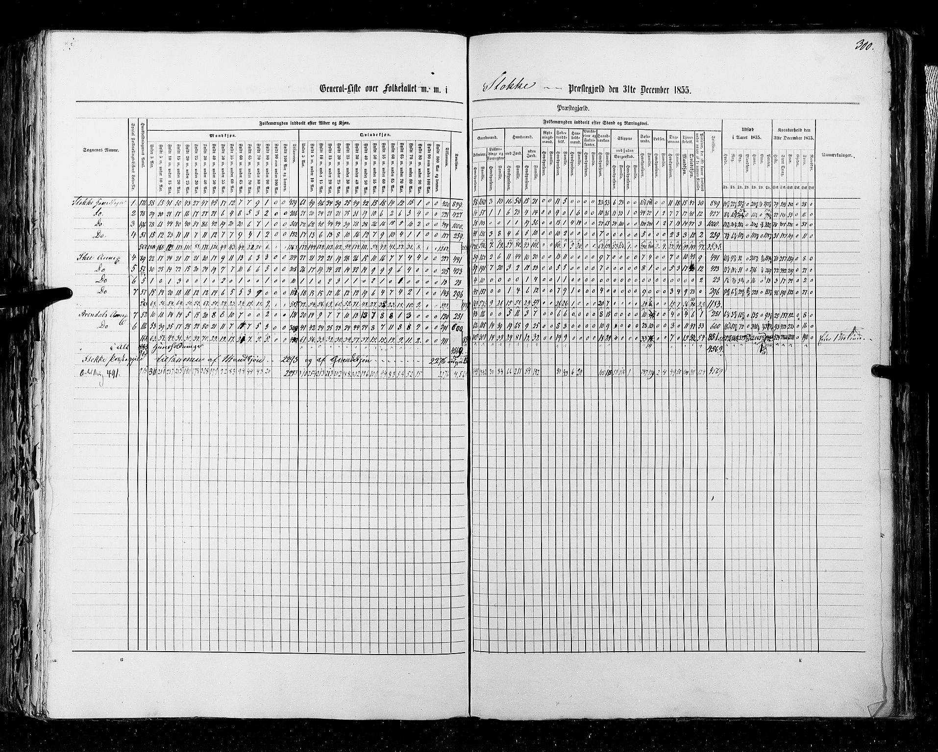 RA, Census 1855, vol. 2: Kristians amt, Buskerud amt og Jarlsberg og Larvik amt, 1855, p. 300