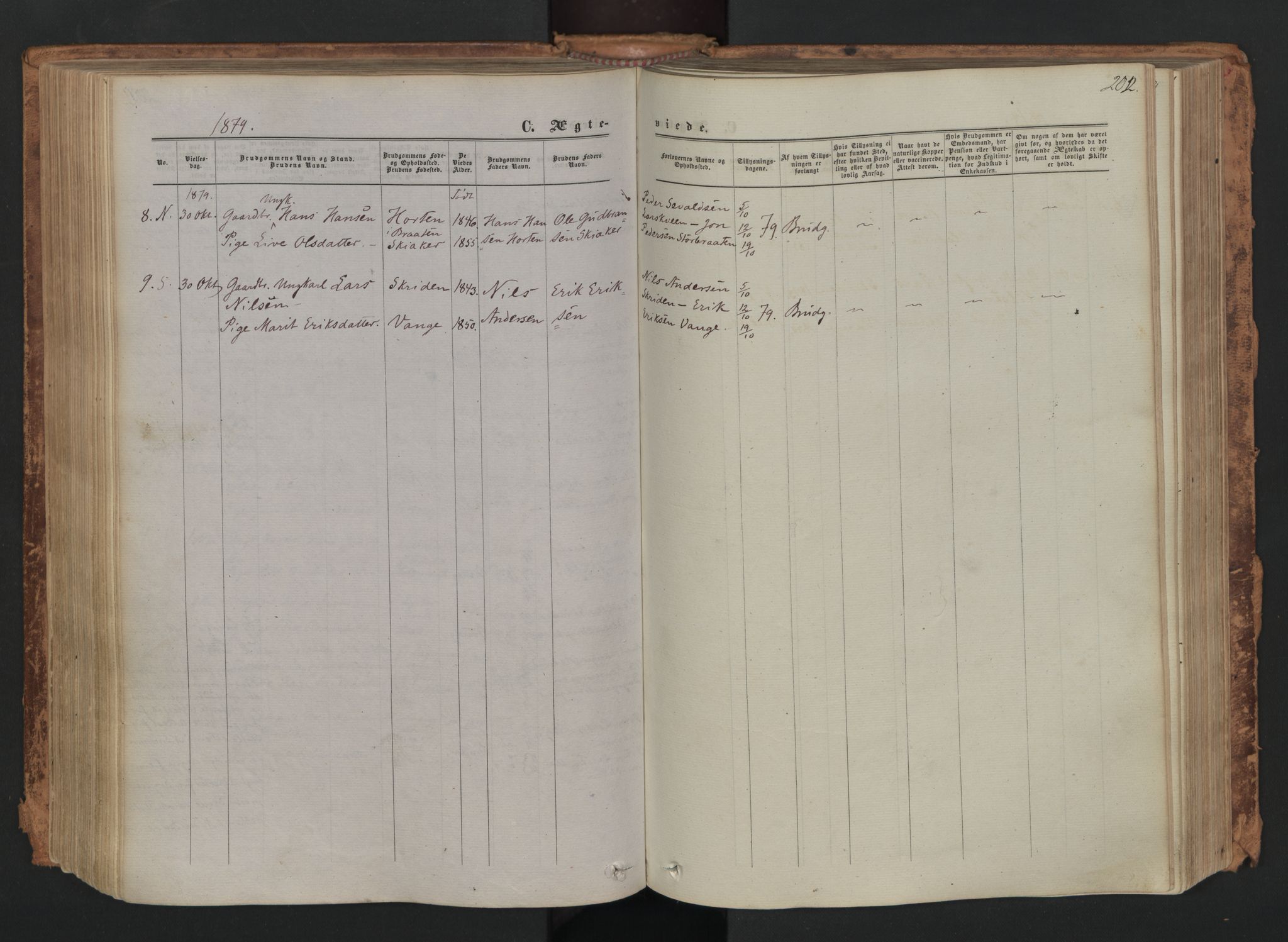 Skjåk prestekontor, AV/SAH-PREST-072/H/Ha/Haa/L0001: Parish register (official) no. 1, 1863-1879, p. 202