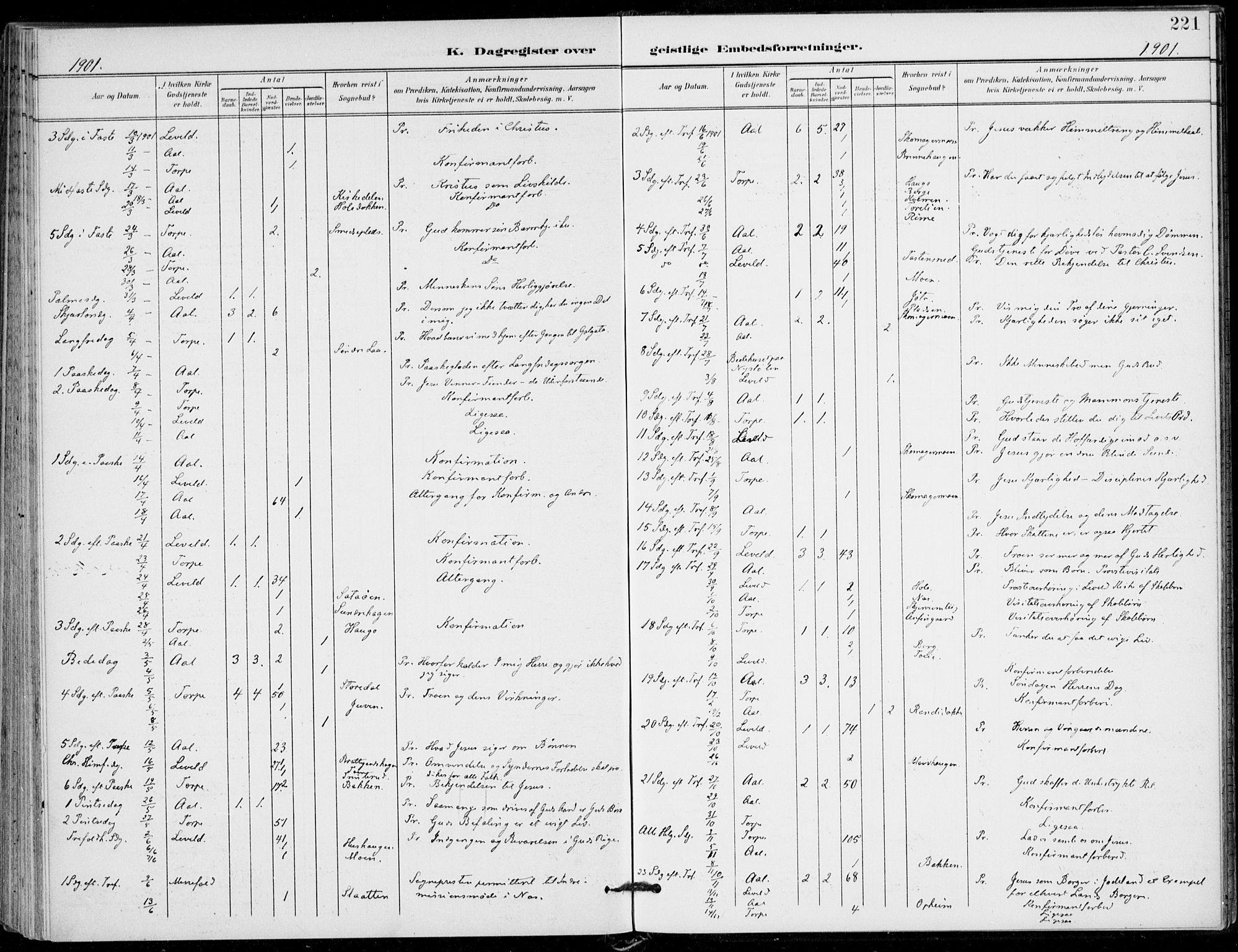 Ål kirkebøker, AV/SAKO-A-249/F/Fa/L0009: Parish register (official) no. I 9, 1897-1915, p. 221