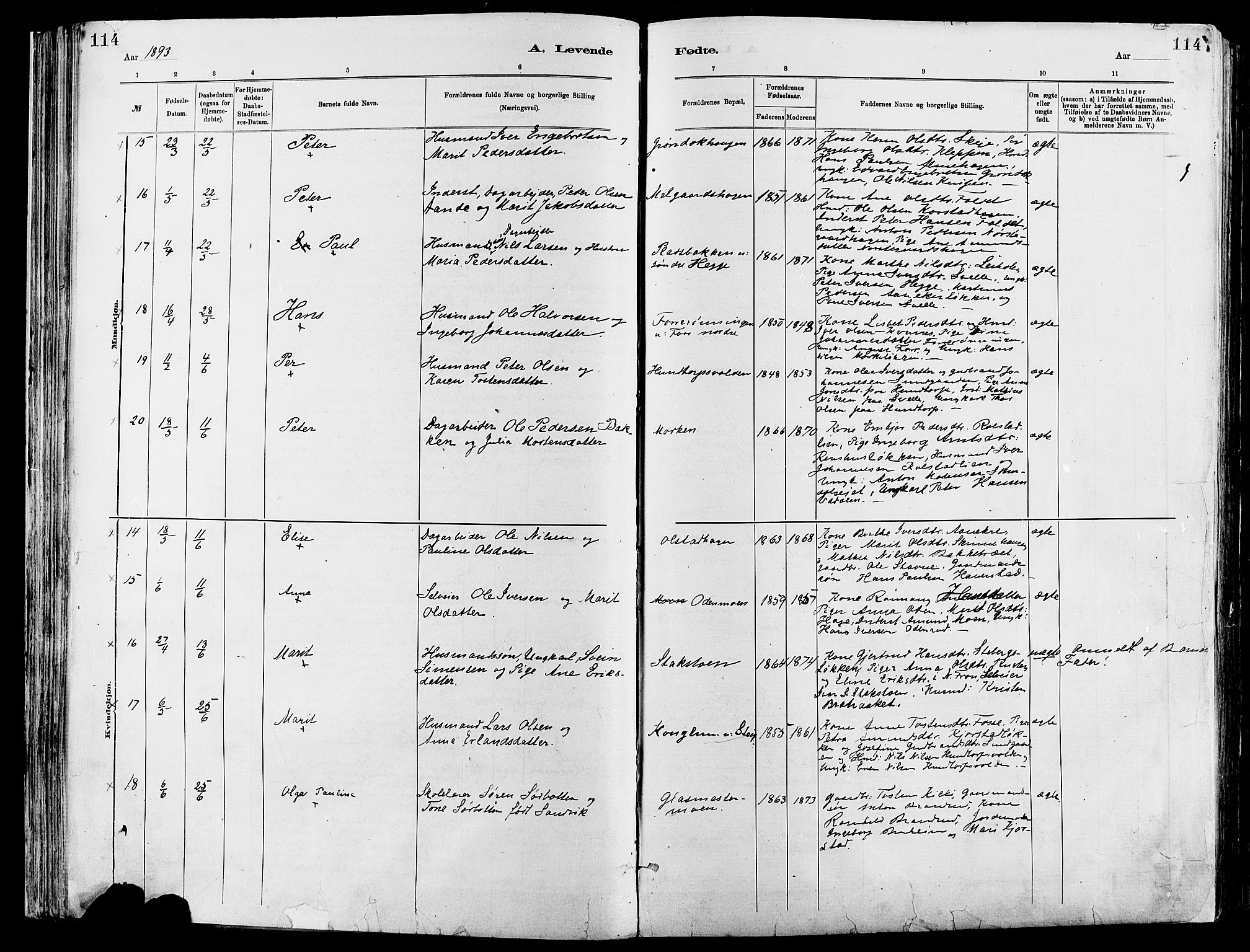 Sør-Fron prestekontor, AV/SAH-PREST-010/H/Ha/Haa/L0003: Parish register (official) no. 3, 1881-1897, p. 114