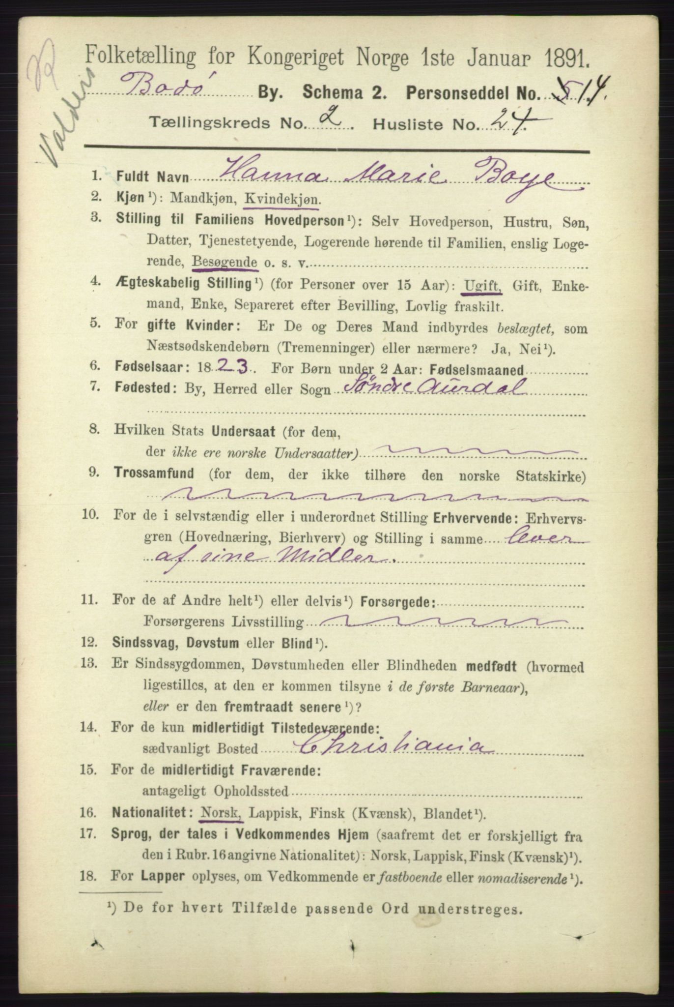 RA, 1891 census for 1804 Bodø, 1891, p. 1339