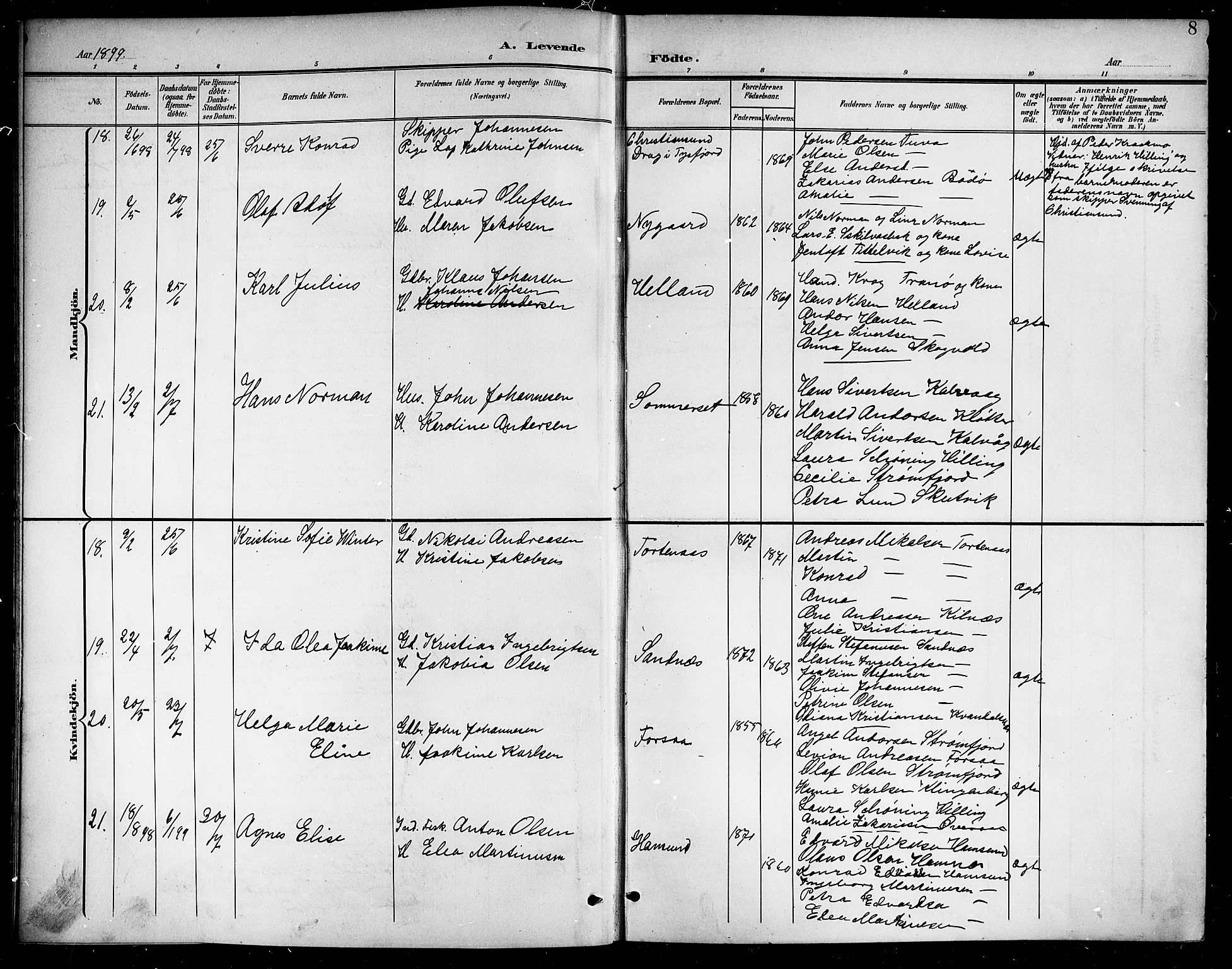 Ministerialprotokoller, klokkerbøker og fødselsregistre - Nordland, AV/SAT-A-1459/859/L0860: Parish register (copy) no. 859C06, 1899-1909, p. 8