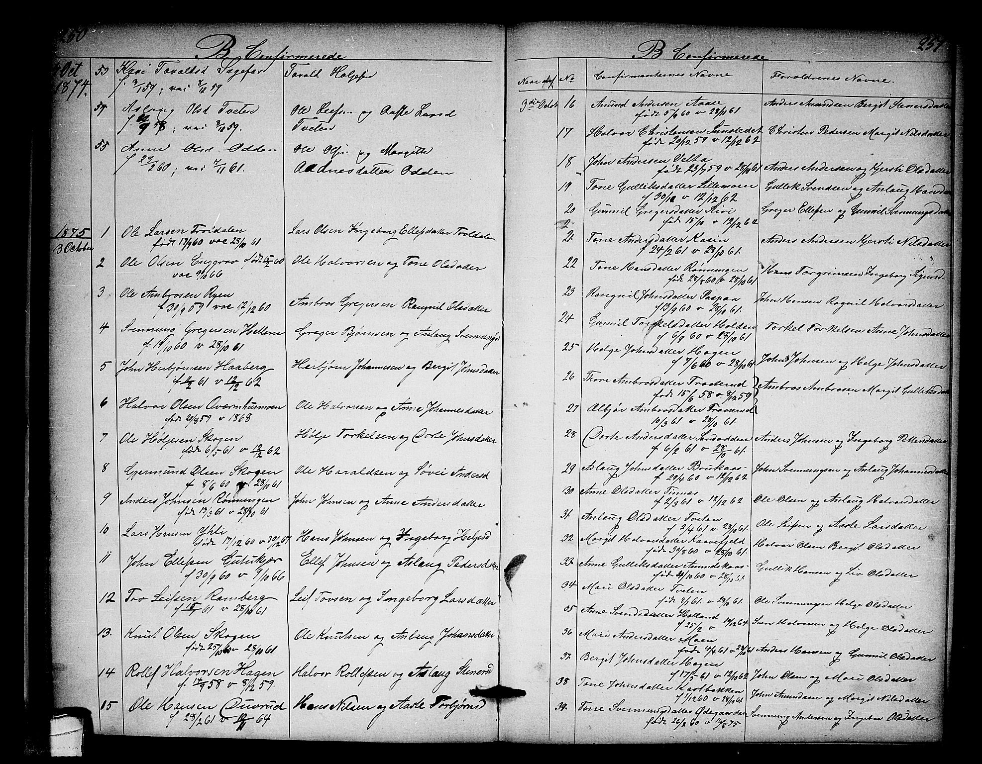 Heddal kirkebøker, SAKO/A-268/G/Ga/L0001: Parish register (copy) no. I 1, 1866-1878, p. 250-251