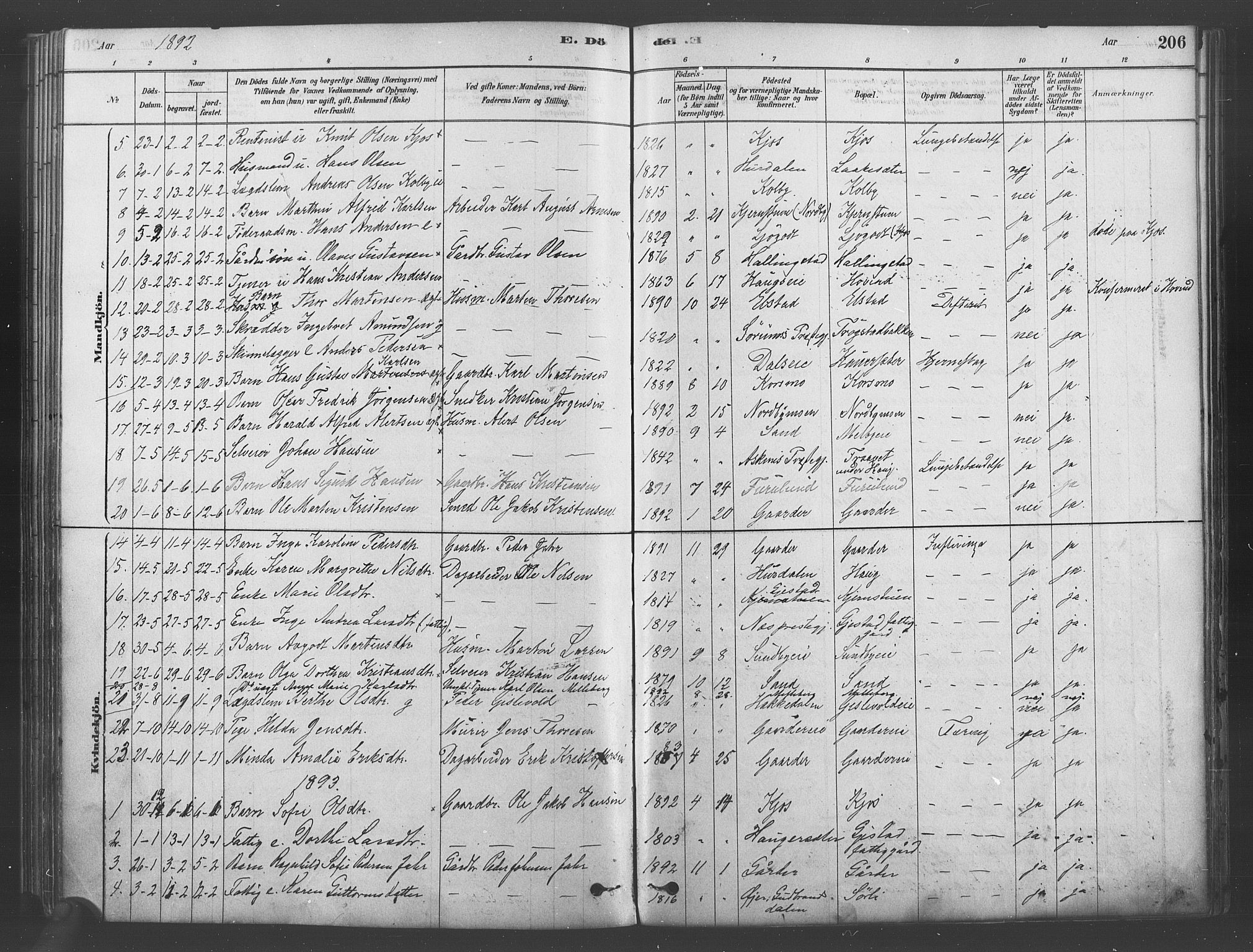 Ullensaker prestekontor Kirkebøker, SAO/A-10236a/F/Fb/L0001: Parish register (official) no. II 1, 1878-1893, p. 206