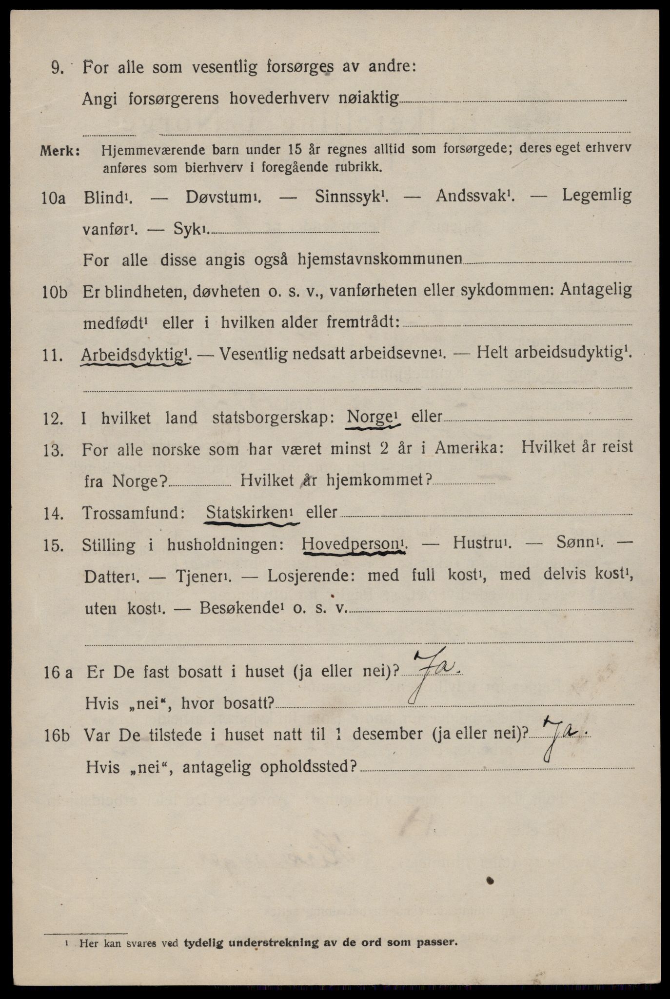 SAKO, 1920 census for Nissedal, 1920, p. 1504