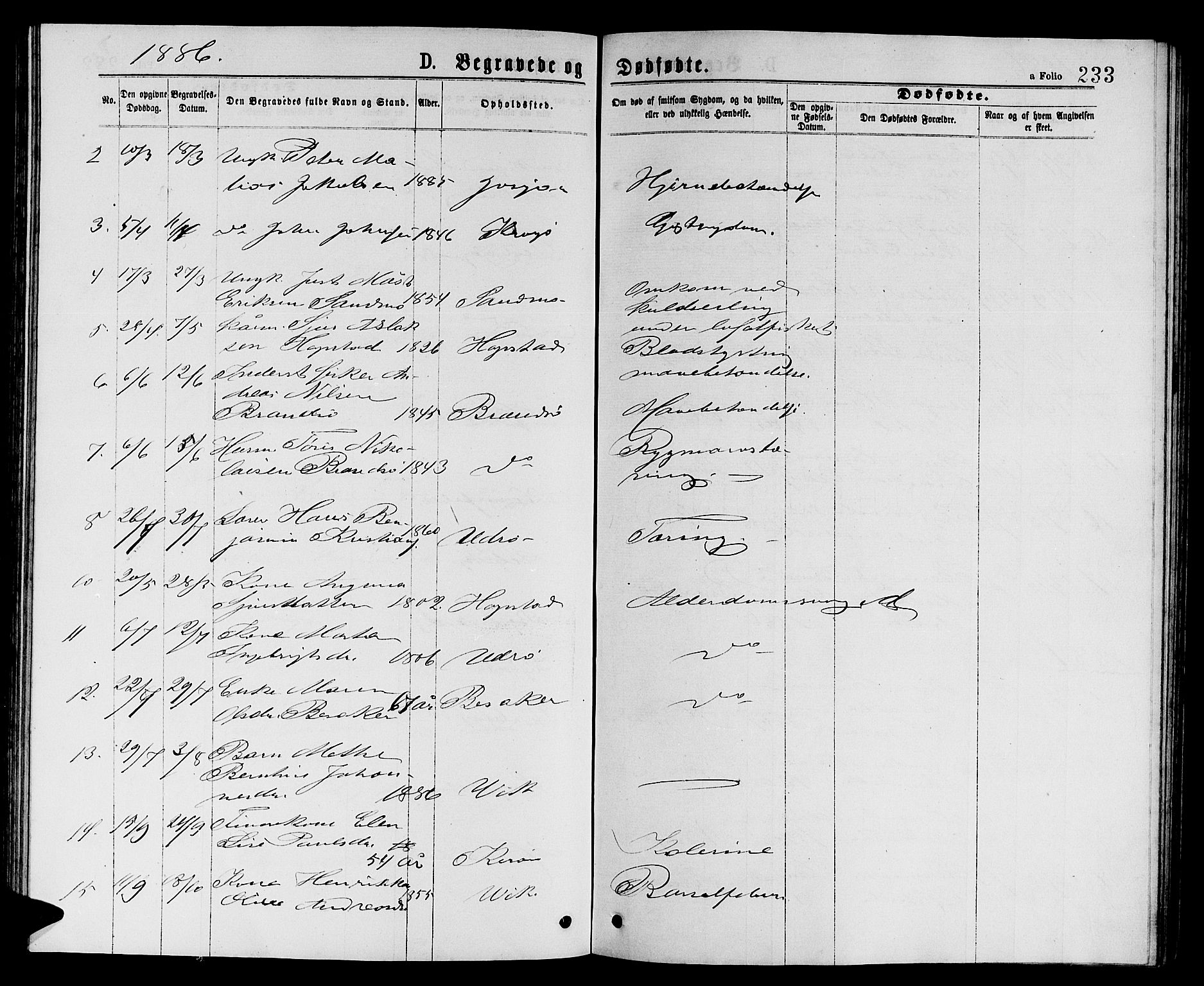 Ministerialprotokoller, klokkerbøker og fødselsregistre - Sør-Trøndelag, SAT/A-1456/657/L0715: Parish register (copy) no. 657C02, 1873-1888, p. 233