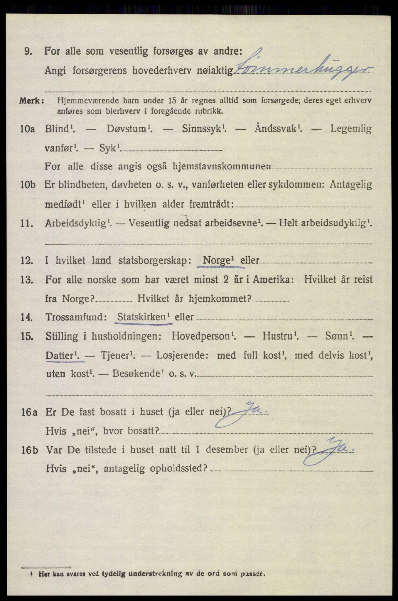 SAH, 1920 census for Åsnes, 1920, p. 11105