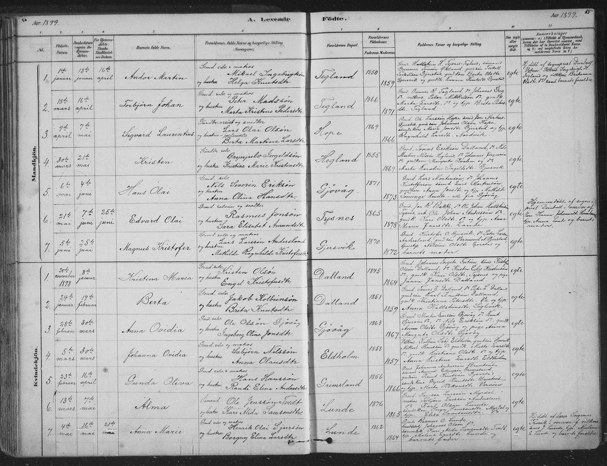 Tysnes sokneprestembete, SAB/A-78601/H/Hab: Parish register (copy) no. B 2, 1878-1918, p. 85