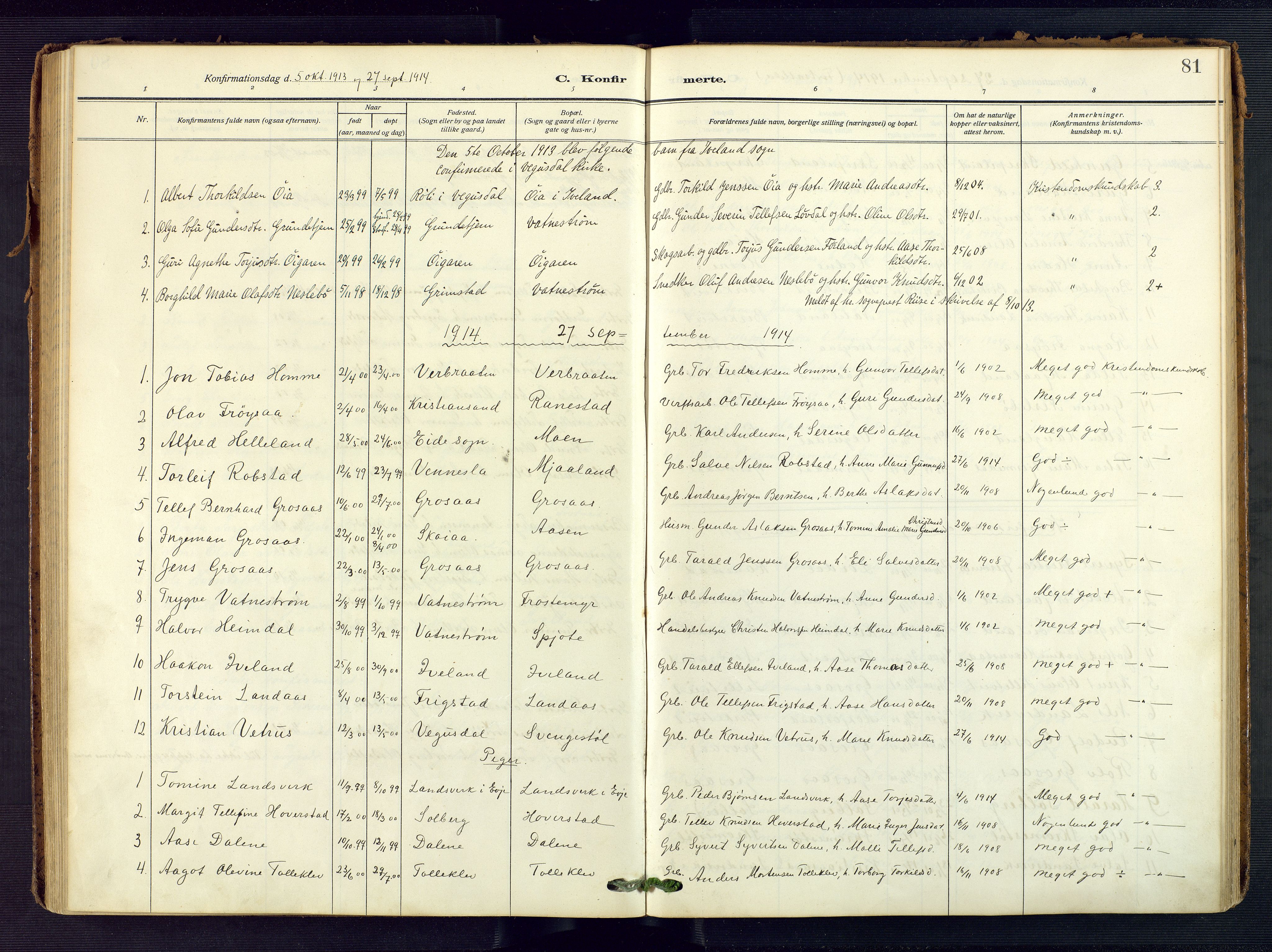 Evje sokneprestkontor, AV/SAK-1111-0008/F/Fa/Fac/L0004: Parish register (official) no. A 4, 1910-1932, p. 81