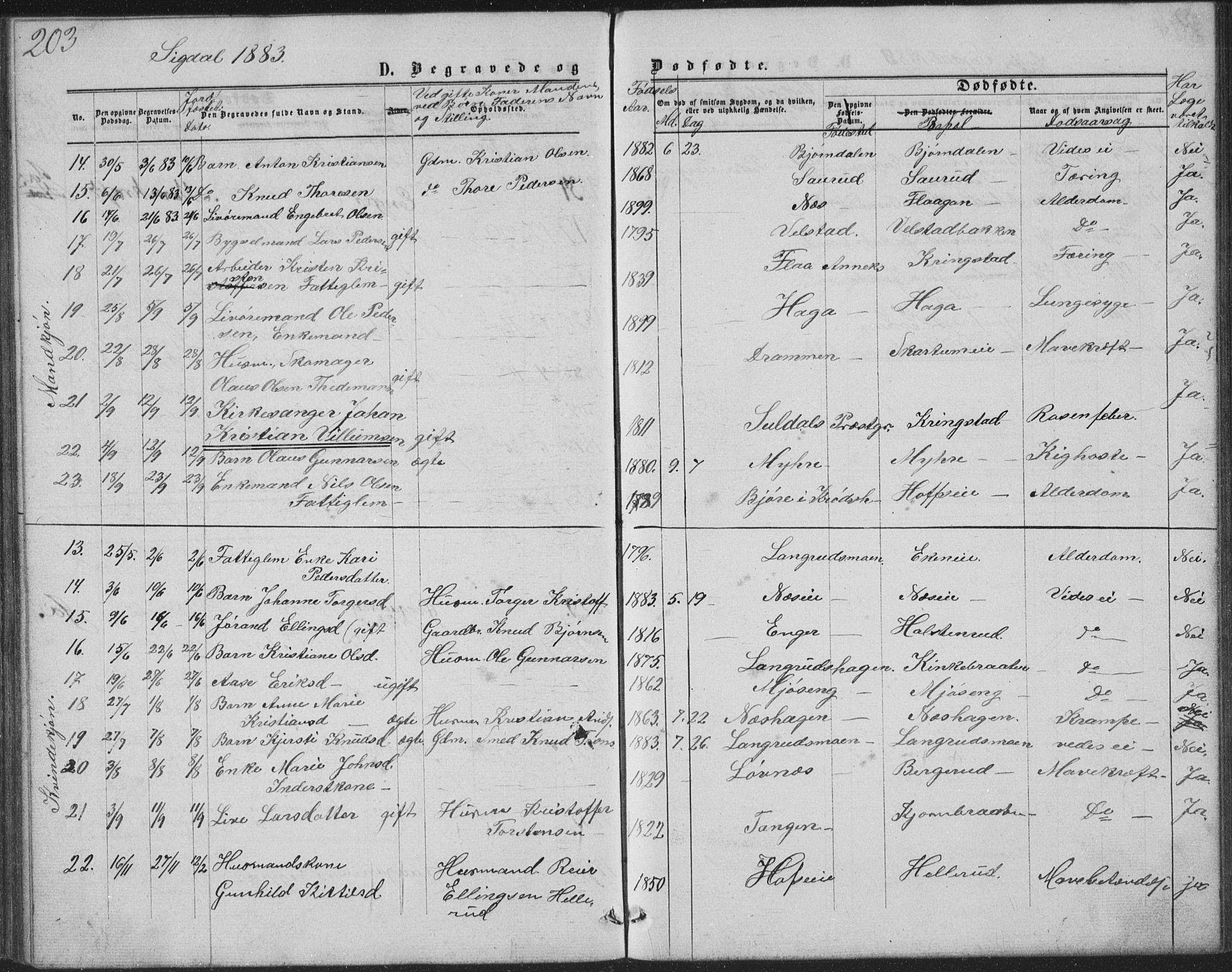 Sigdal kirkebøker, AV/SAKO-A-245/G/Ga/L0004: Parish register (copy) no. I 4, 1879-1885, p. 203