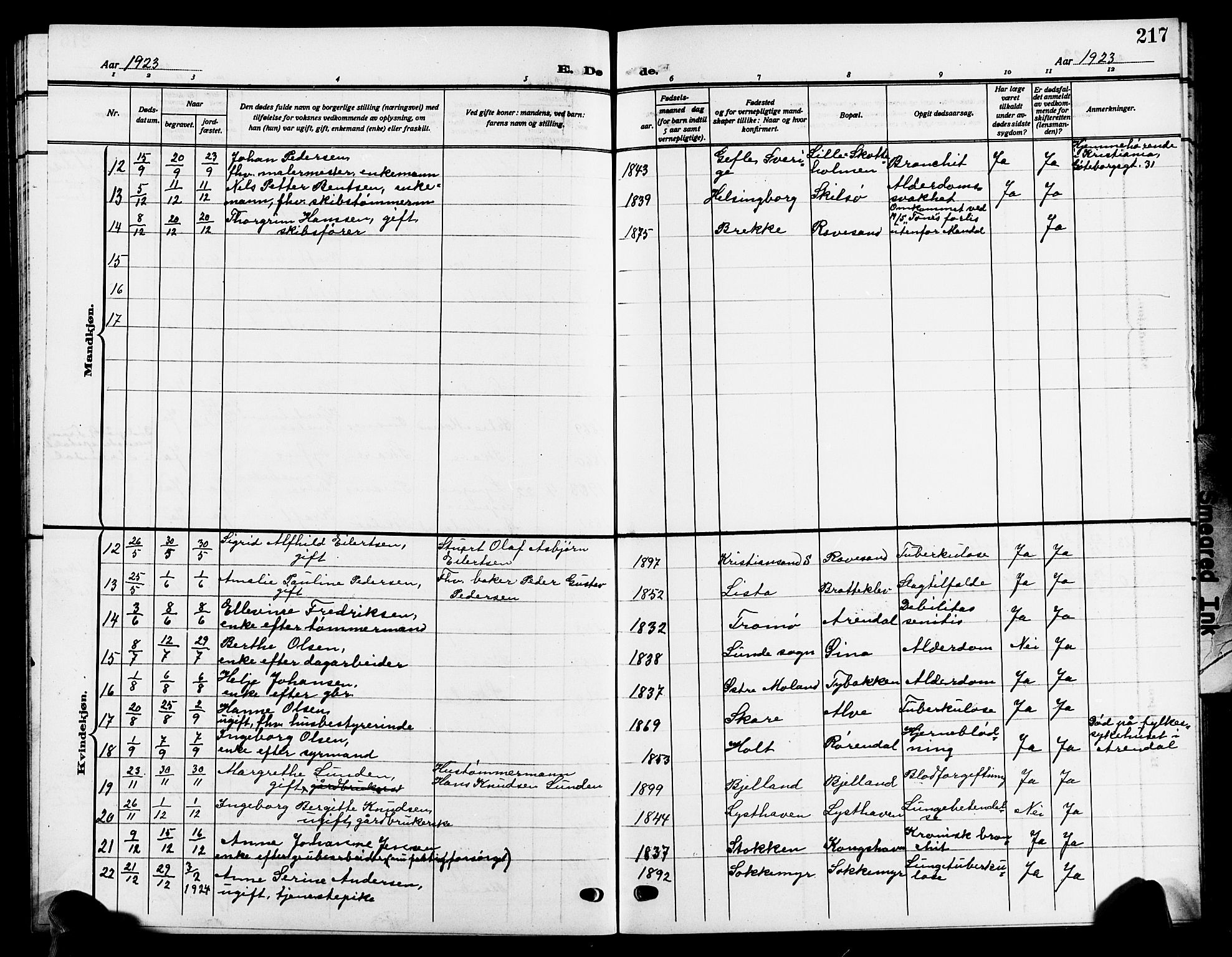 Tromøy sokneprestkontor, SAK/1111-0041/F/Fb/L0007: Parish register (copy) no. B 7, 1908-1925, p. 217