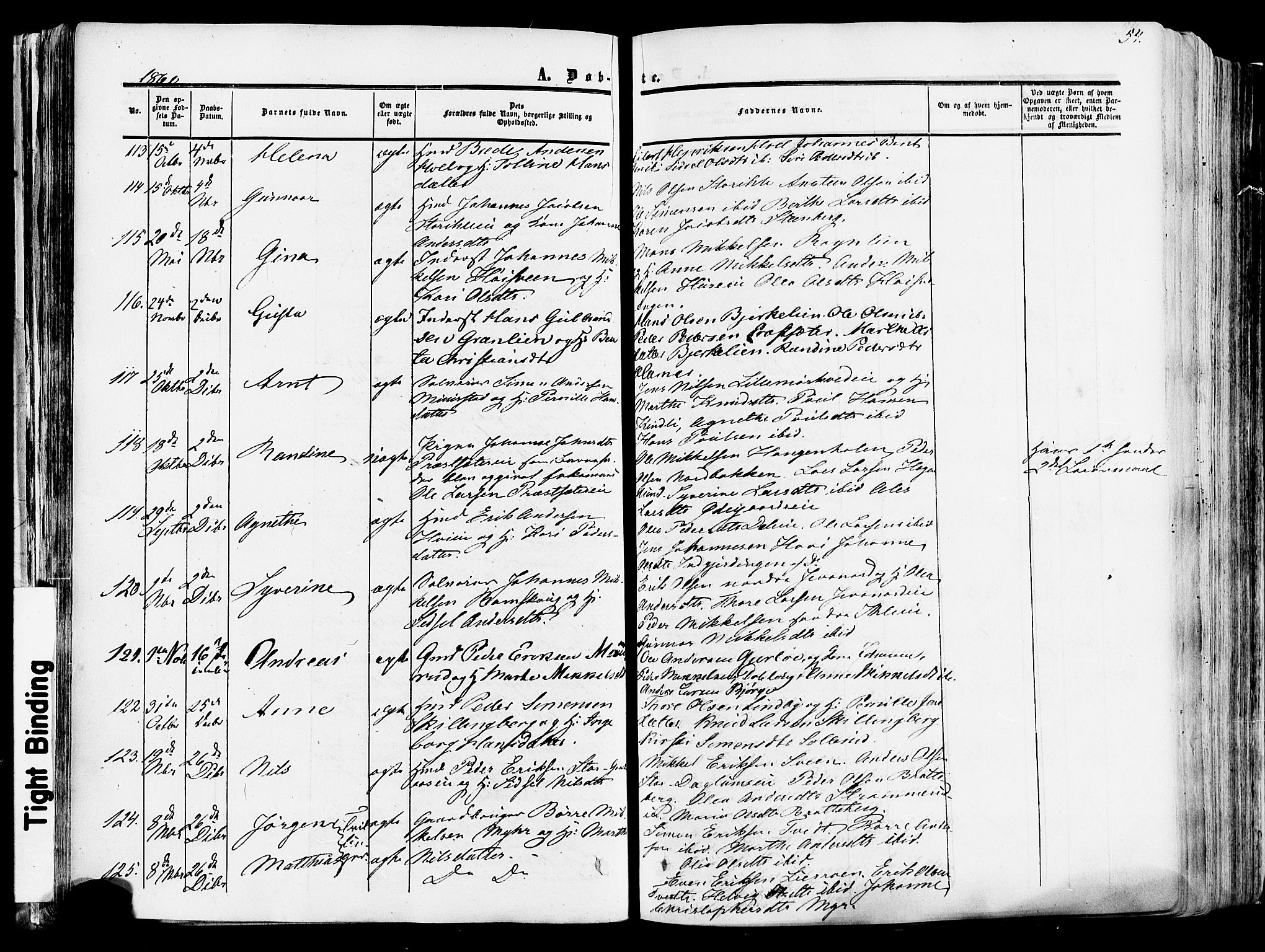 Vang prestekontor, Hedmark, AV/SAH-PREST-008/H/Ha/Haa/L0013: Parish register (official) no. 13, 1855-1879, p. 54