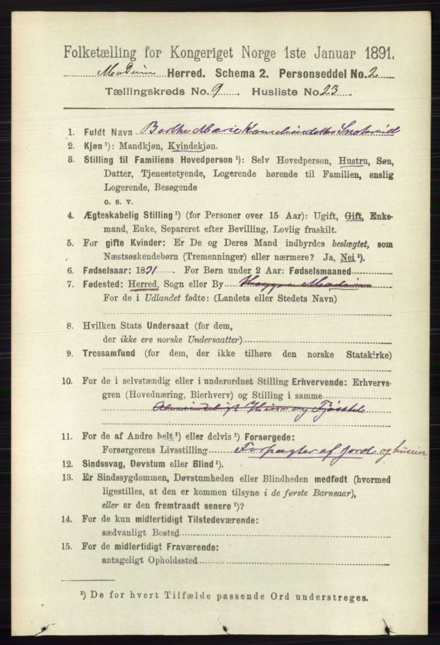 RA, 1891 census for 0623 Modum, 1891, p. 3591