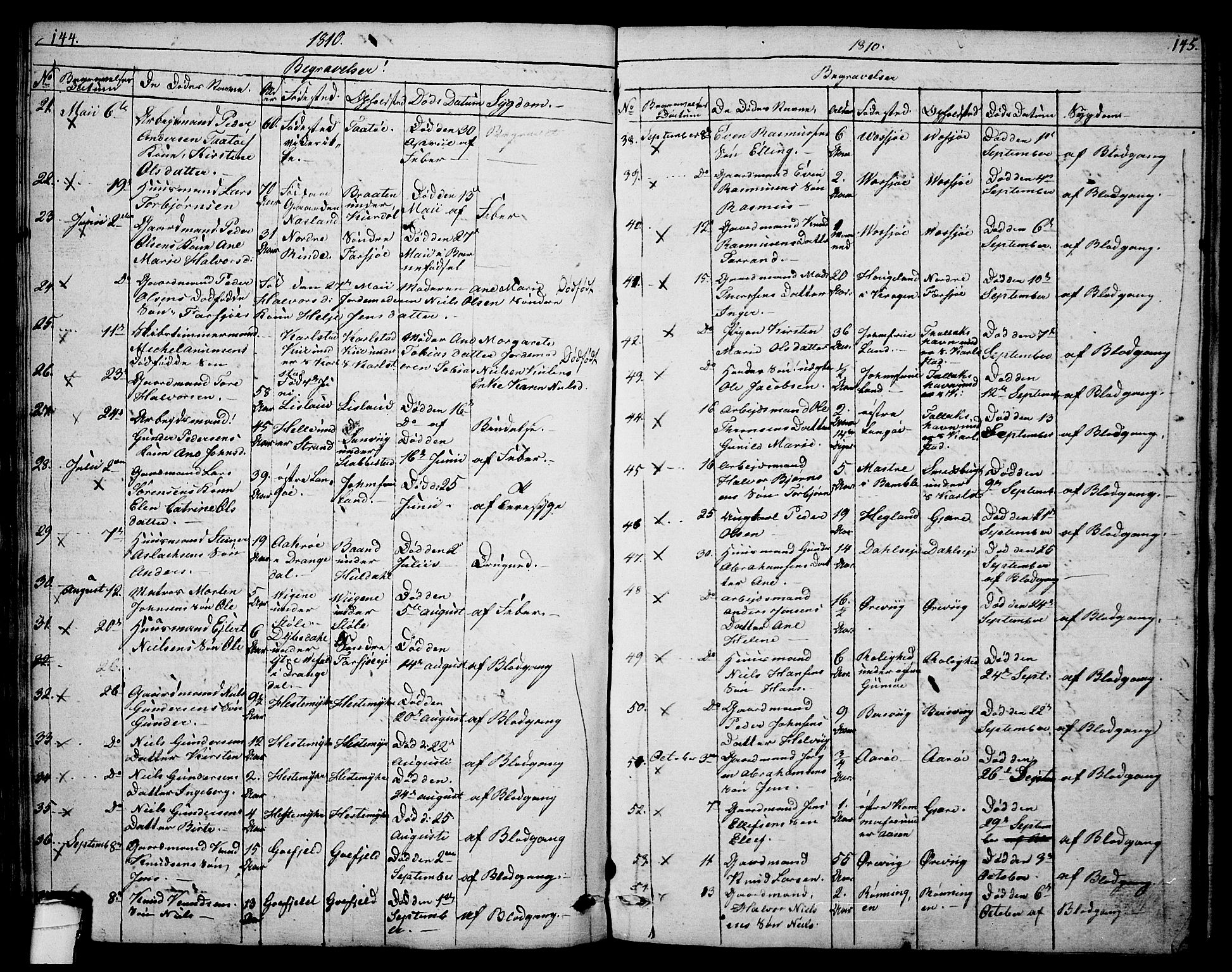 Sannidal kirkebøker, AV/SAKO-A-296/F/Fa/L0003: Parish register (official) no. 3, 1803-1813, p. 144-145