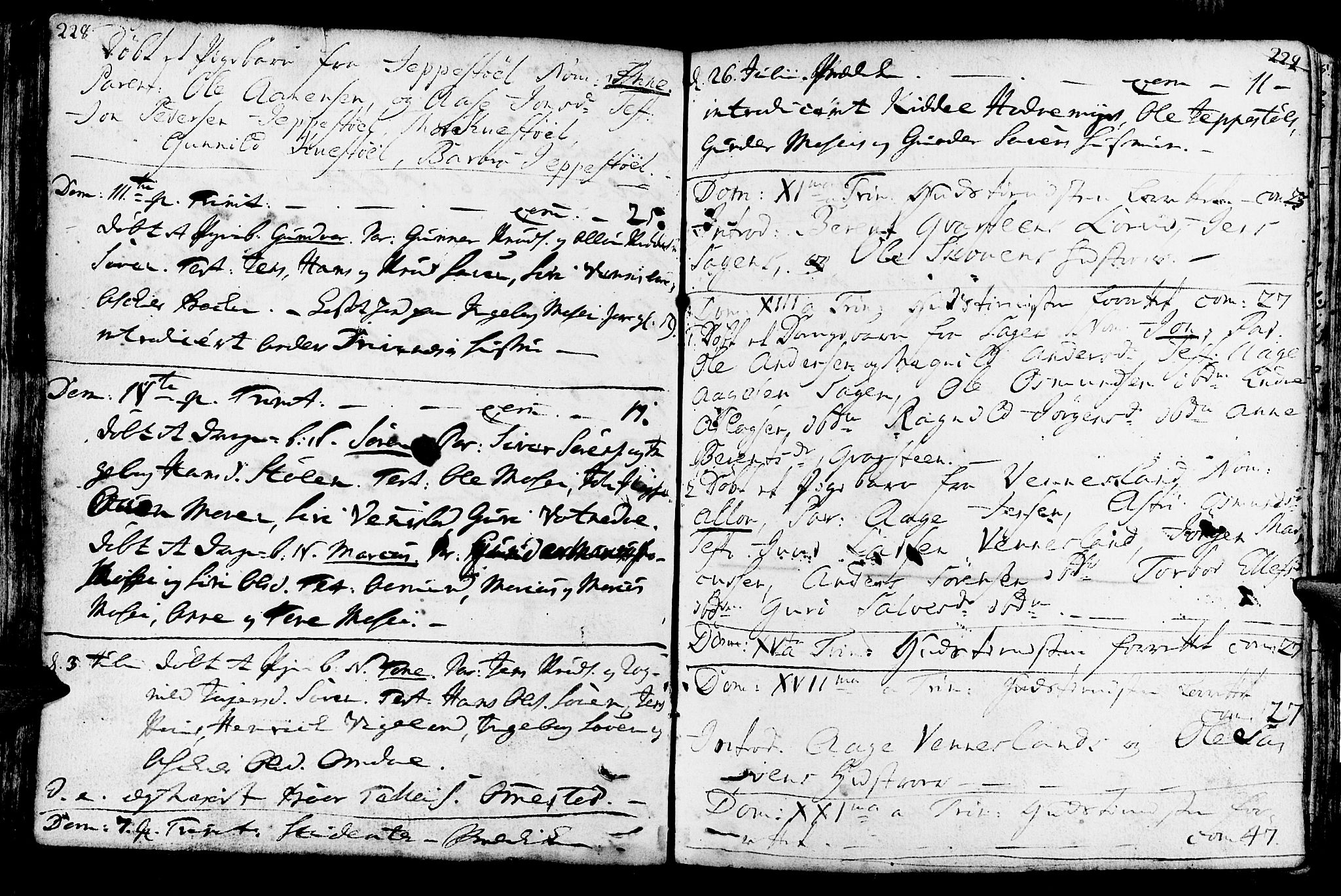 Vennesla sokneprestkontor, AV/SAK-1111-0045/Fa/Fab/L0001: Parish register (official) no. A 1, 1741-1794, p. 228-229