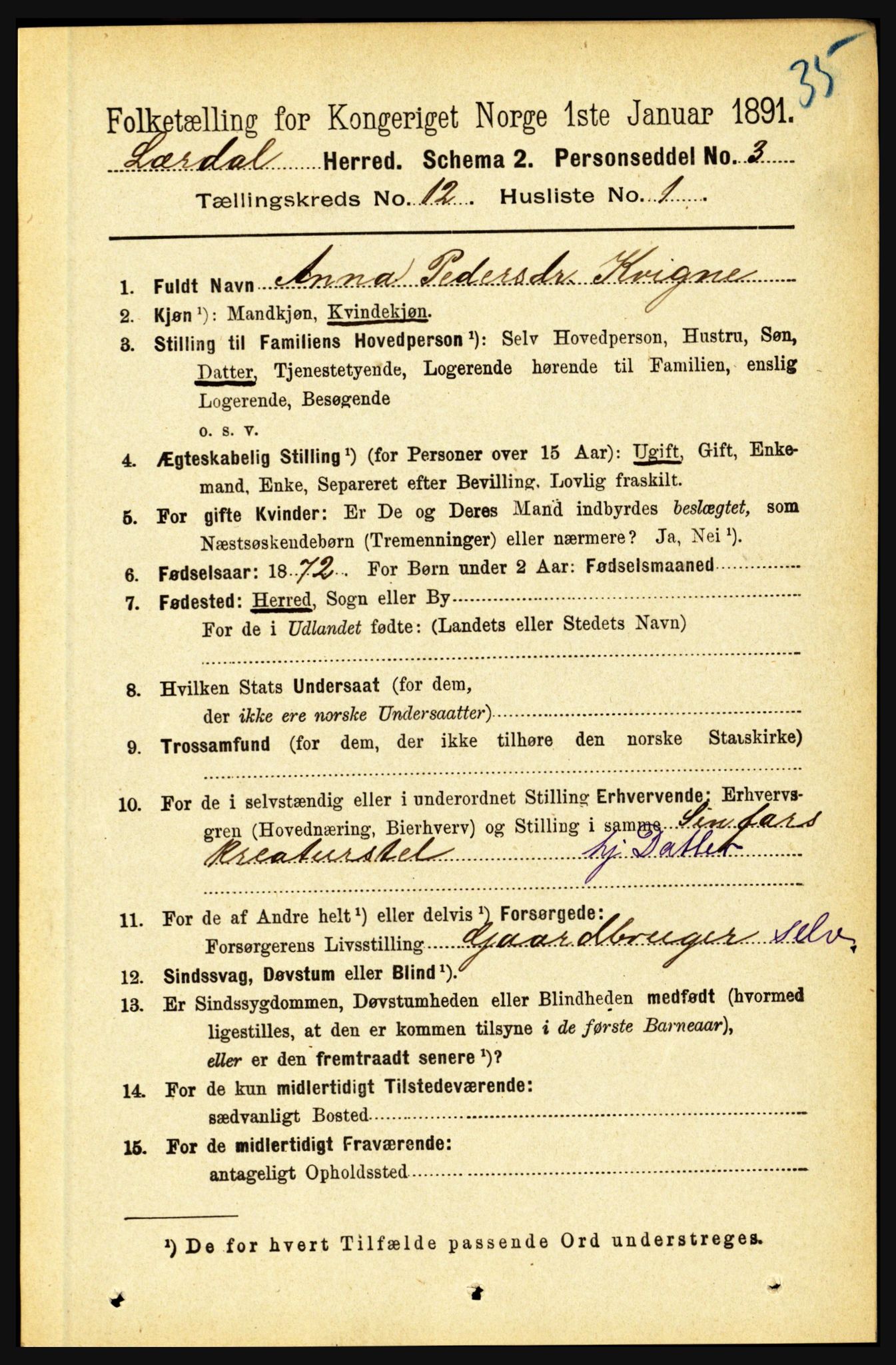 RA, 1891 census for 1422 Lærdal, 1891, p. 2550