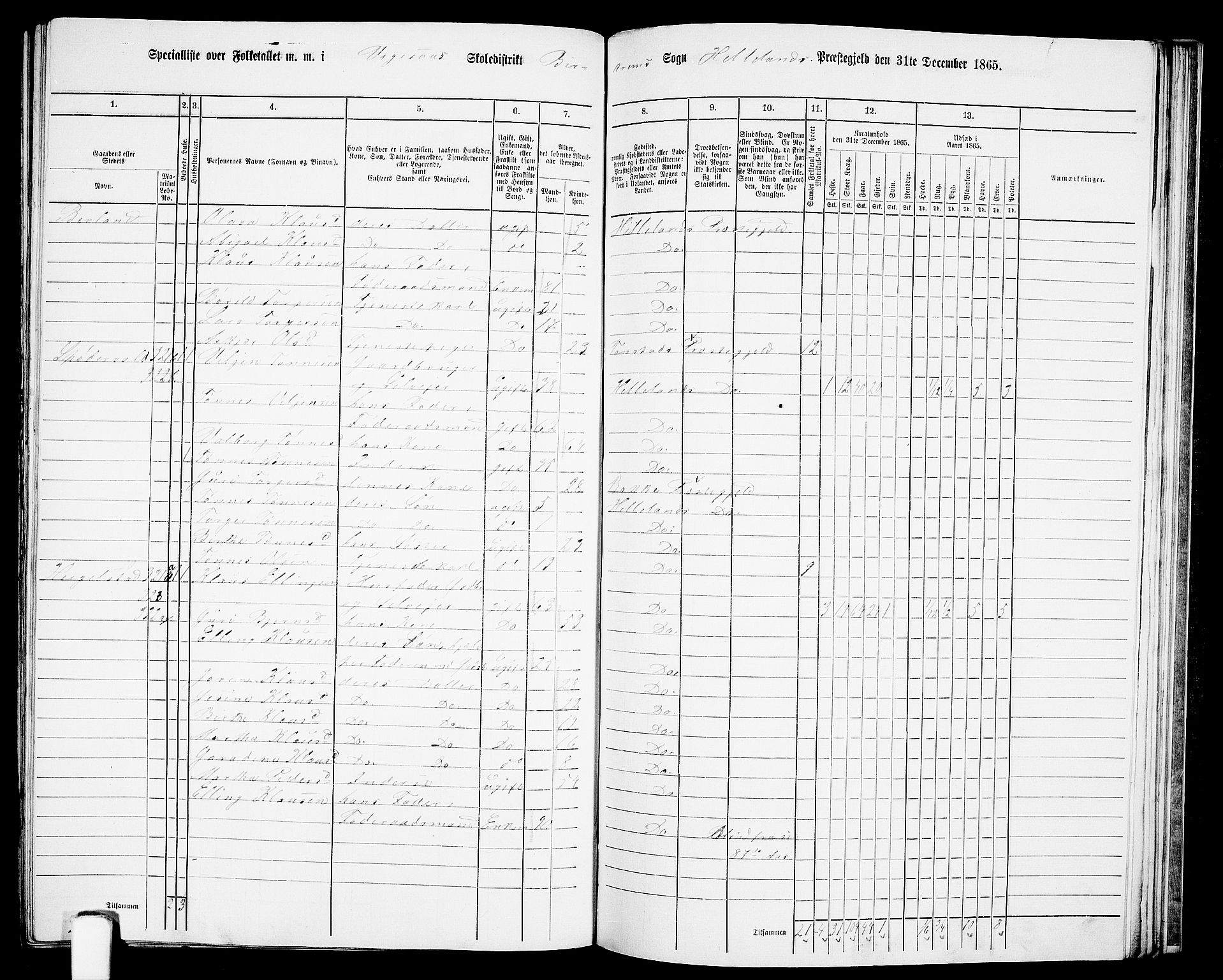 RA, 1865 census for Helleland, 1865, p. 120