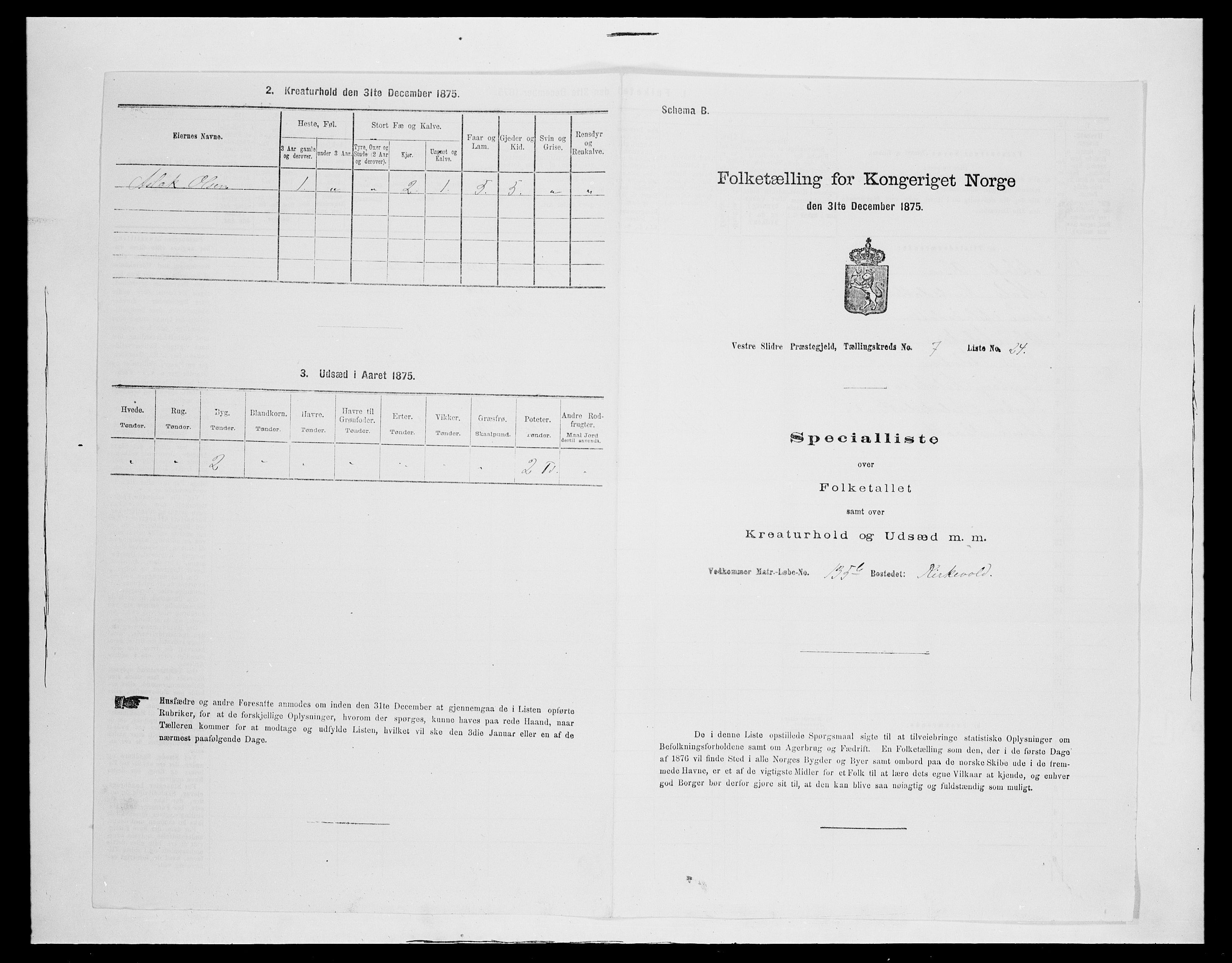 SAH, 1875 census for 0543P Vestre Slidre, 1875, p. 924