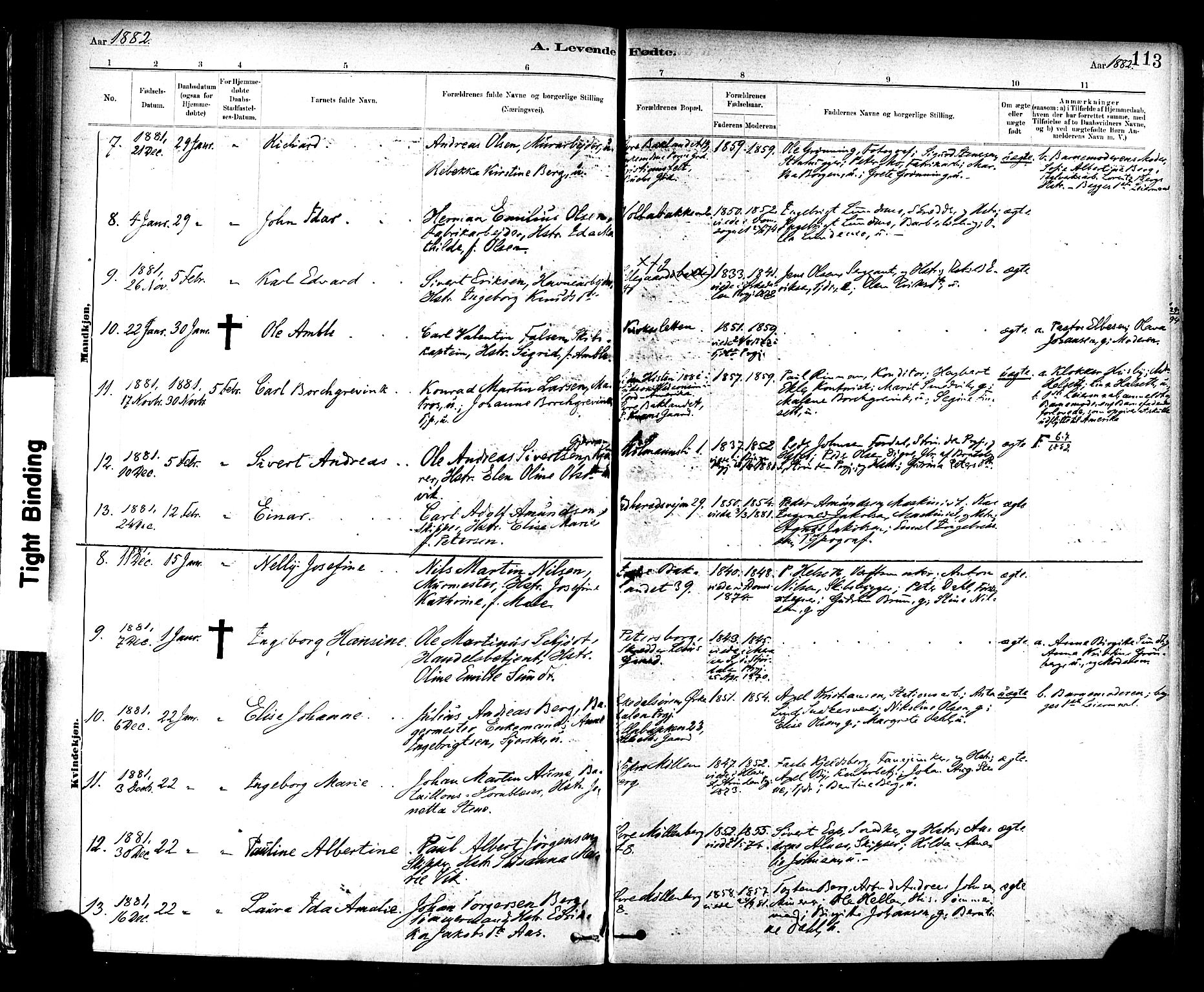 Ministerialprotokoller, klokkerbøker og fødselsregistre - Sør-Trøndelag, SAT/A-1456/604/L0188: Parish register (official) no. 604A09, 1878-1892, p. 113