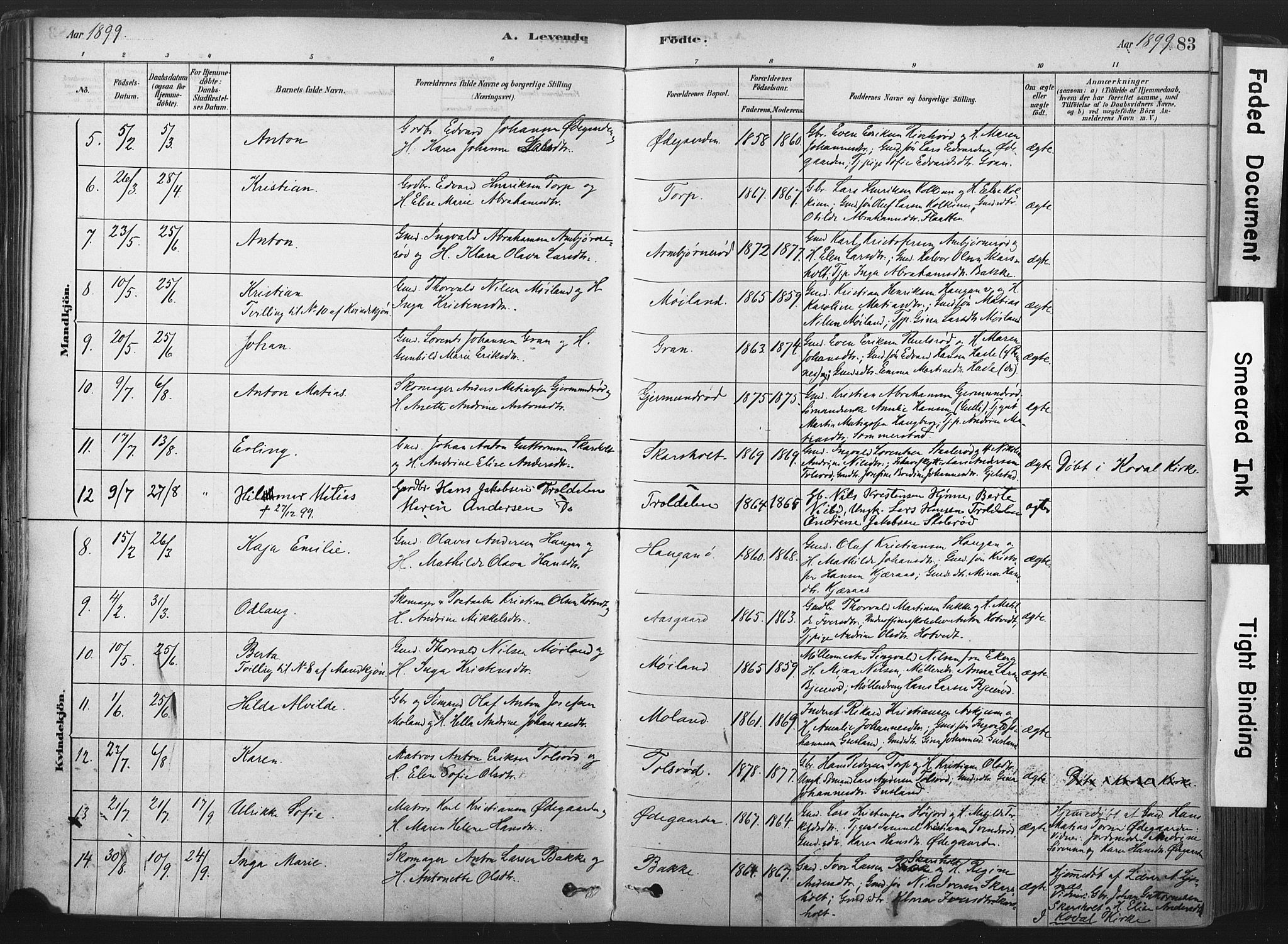 Andebu kirkebøker, AV/SAKO-A-336/F/Fa/L0007: Parish register (official) no. 7, 1878-1899, p. 83