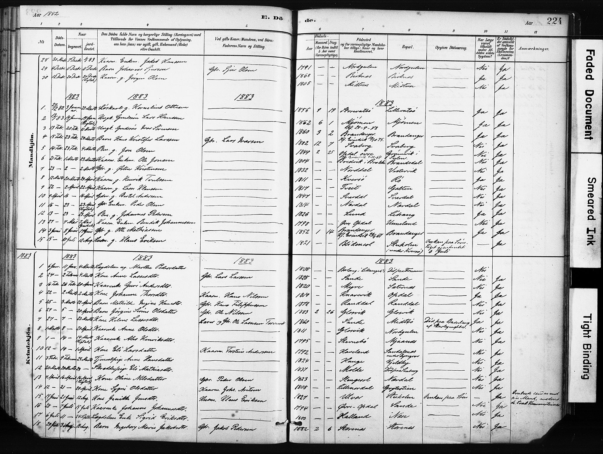 Gulen sokneprestembete, AV/SAB-A-80201/H/Haa/Haab/L0001: Parish register (official) no. B 1, 1881-1905, p. 224