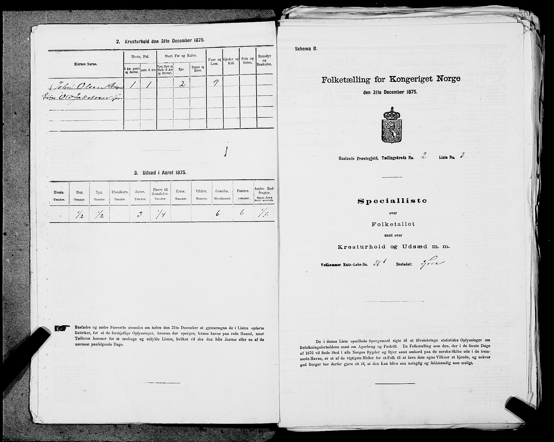 SAST, 1875 census for 1124P Håland, 1875, p. 235