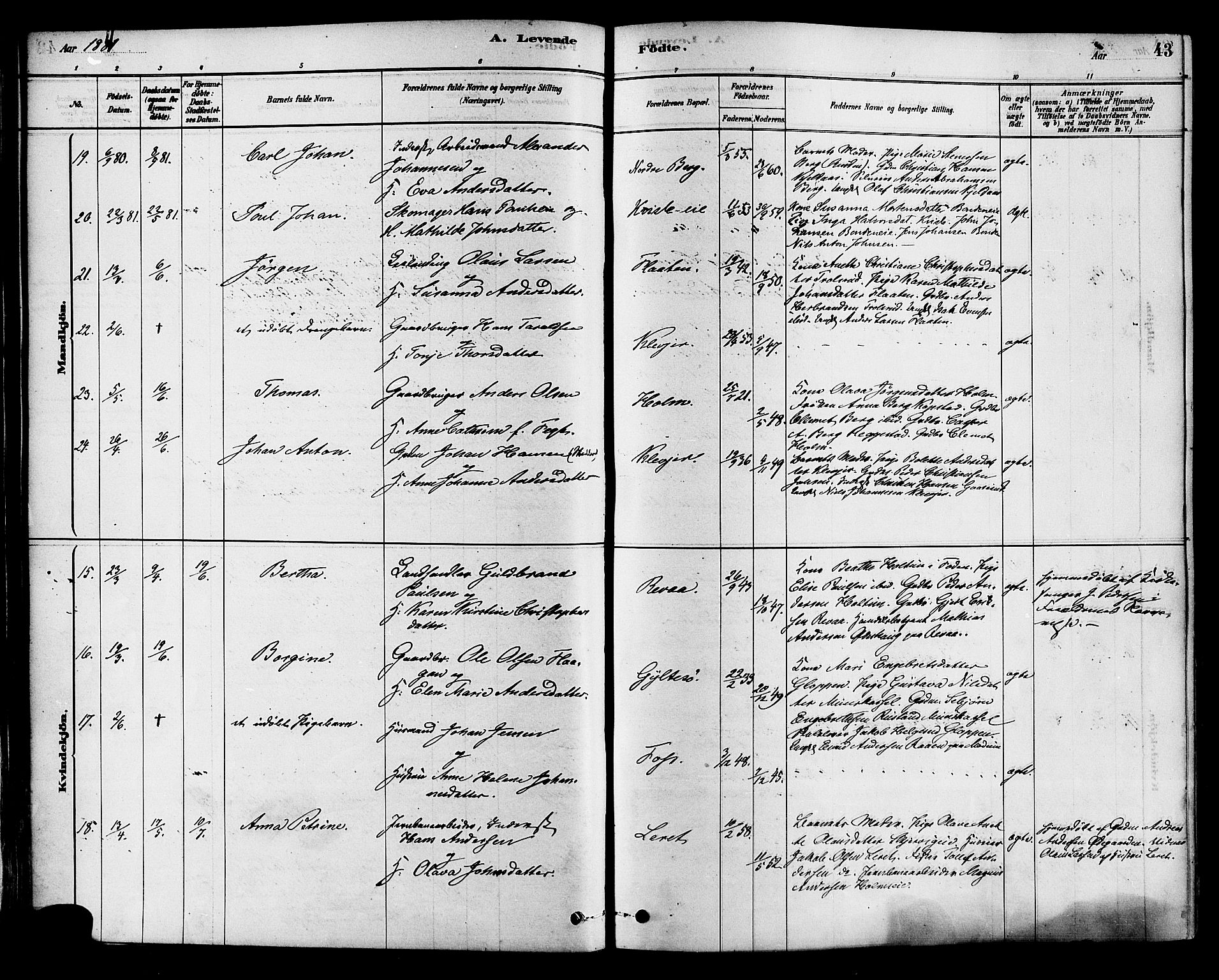 Sande Kirkebøker, SAKO/A-53/F/Fa/L0006: Parish register (official) no. 6, 1878-1888, p. 43
