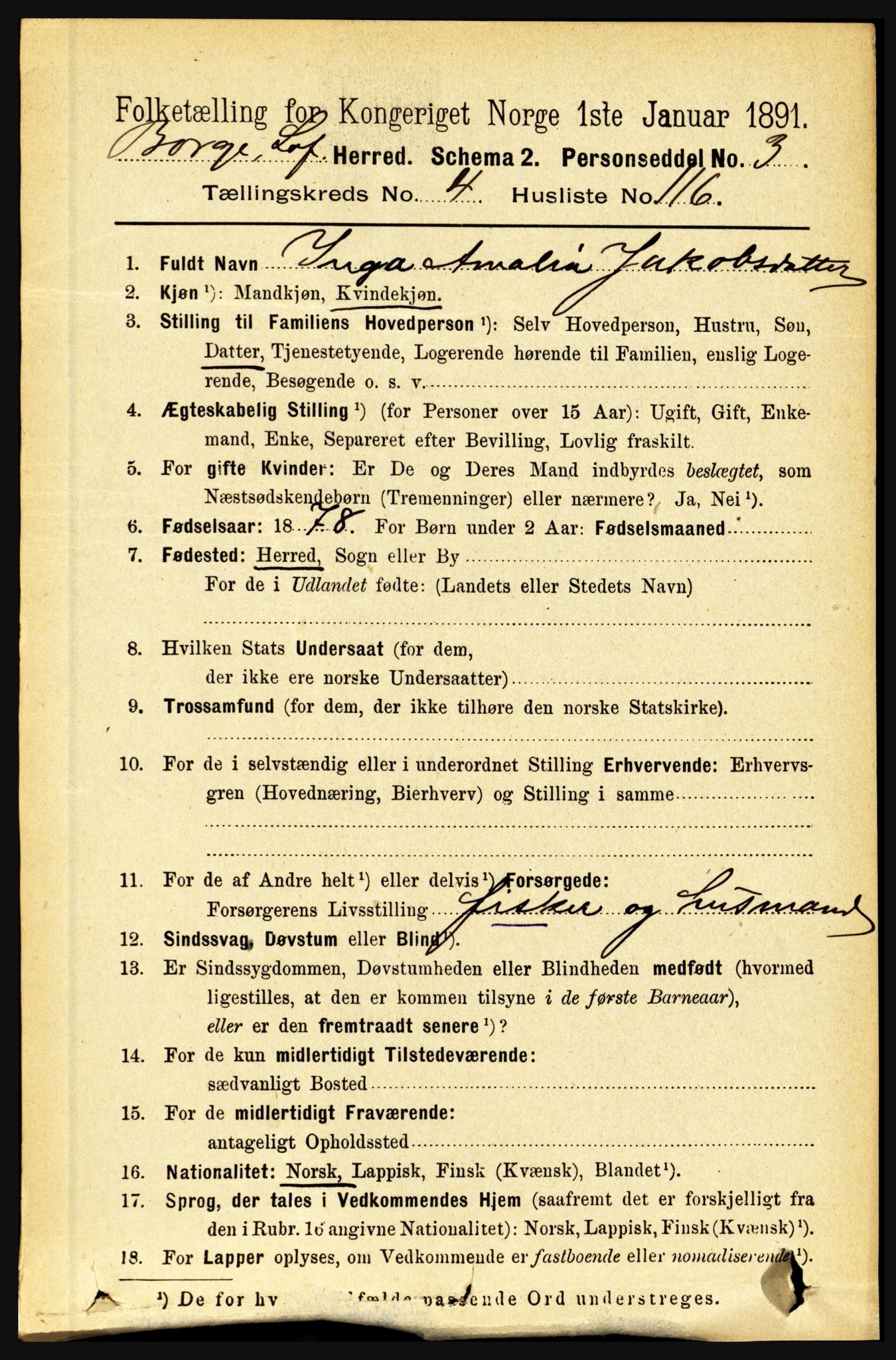 RA, 1891 census for 1862 Borge, 1891, p. 2941