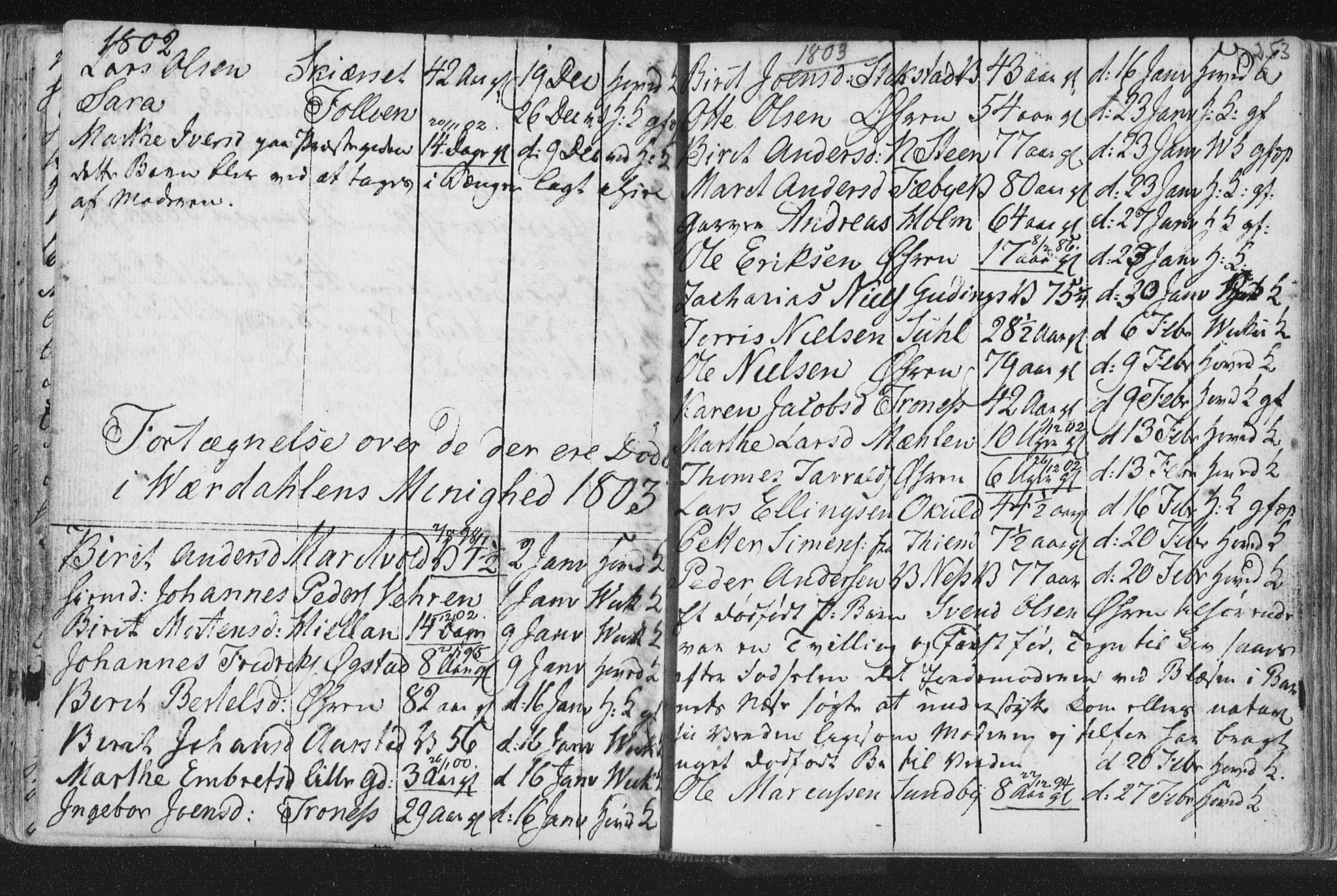 Ministerialprotokoller, klokkerbøker og fødselsregistre - Nord-Trøndelag, SAT/A-1458/723/L0232: Parish register (official) no. 723A03, 1781-1804, p. 253