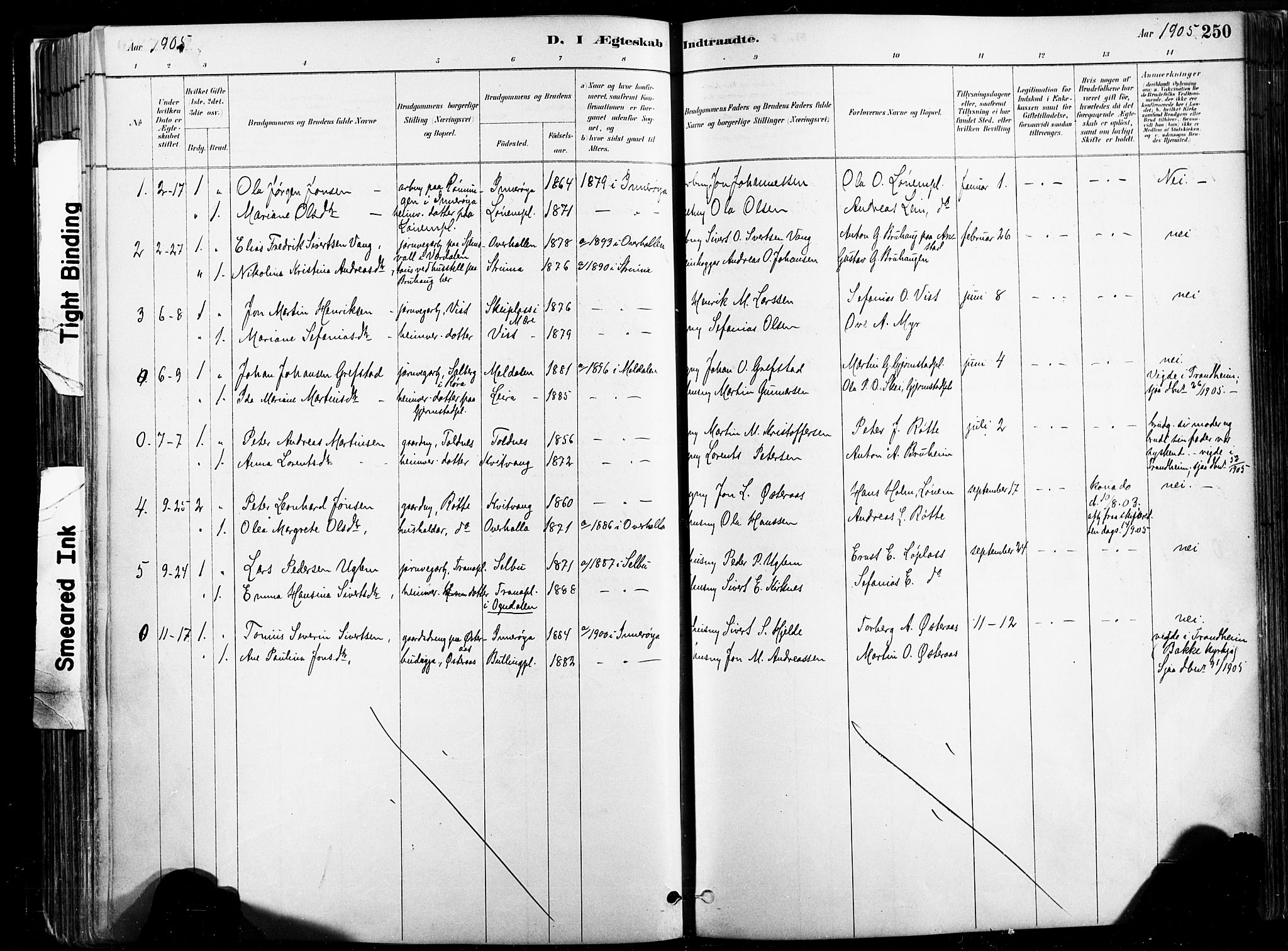 Ministerialprotokoller, klokkerbøker og fødselsregistre - Nord-Trøndelag, SAT/A-1458/735/L0351: Parish register (official) no. 735A10, 1884-1908, p. 250