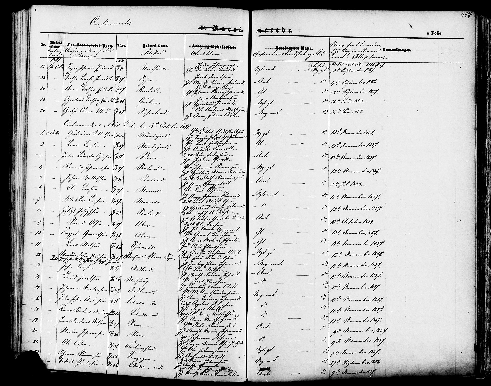 Skudenes sokneprestkontor, SAST/A -101849/H/Ha/Haa/L0006: Parish register (official) no. A 4, 1864-1881, p. 484