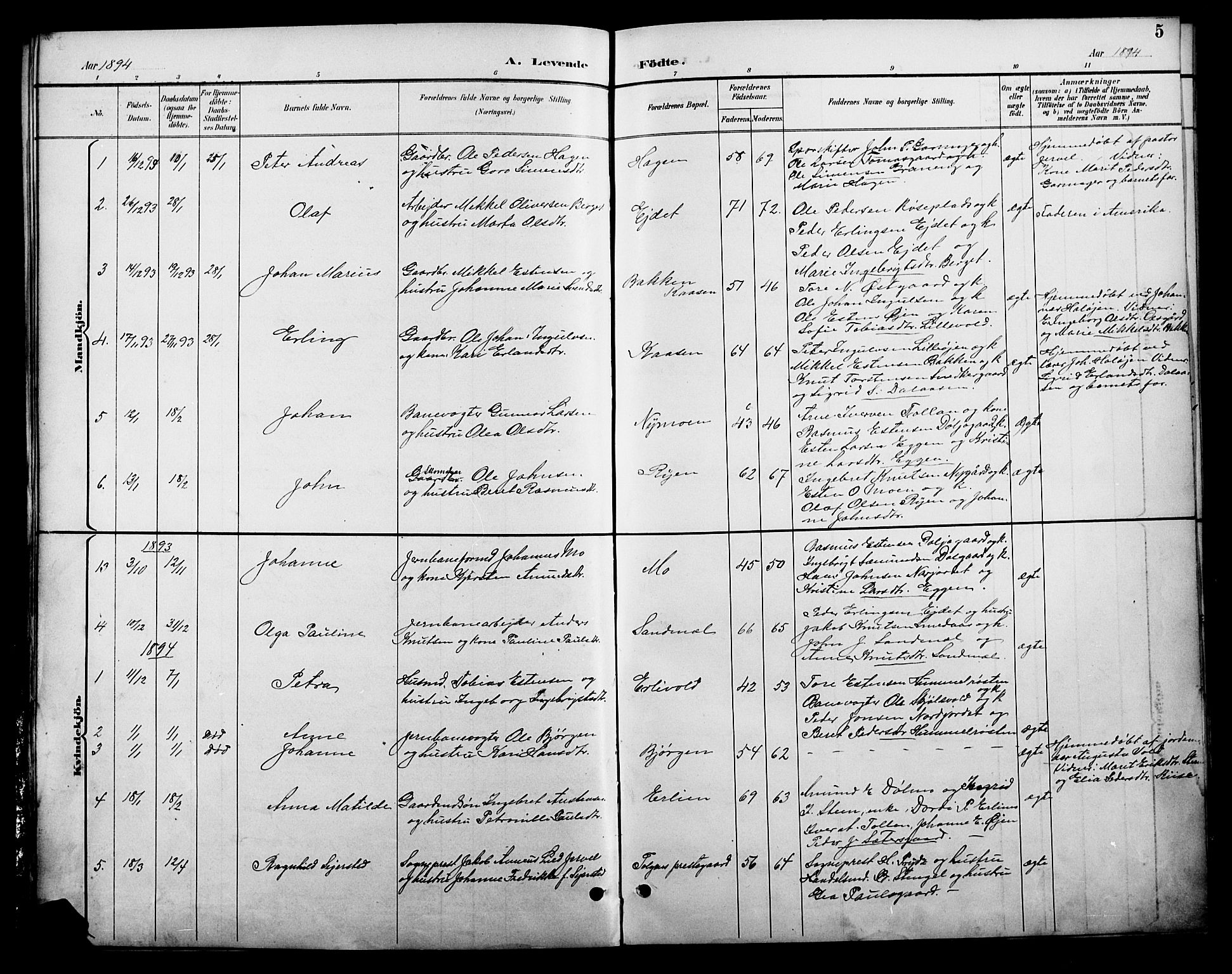 Tolga prestekontor, AV/SAH-PREST-062/L/L0009: Parish register (copy) no. 9, 1892-1919, p. 5