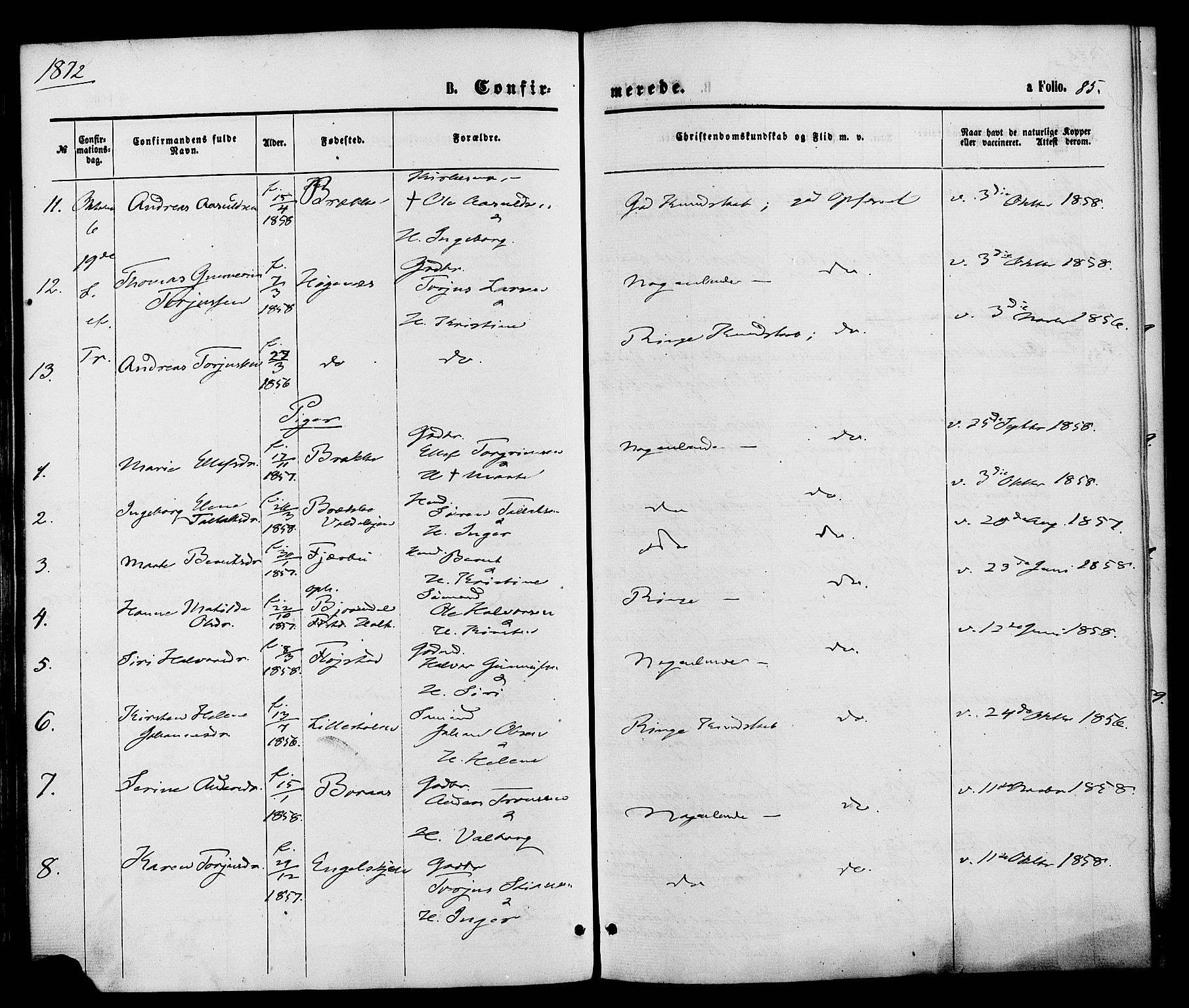Austre Moland sokneprestkontor, SAK/1111-0001/F/Fa/Faa/L0009: Parish register (official) no. A 9, 1869-1879, p. 85